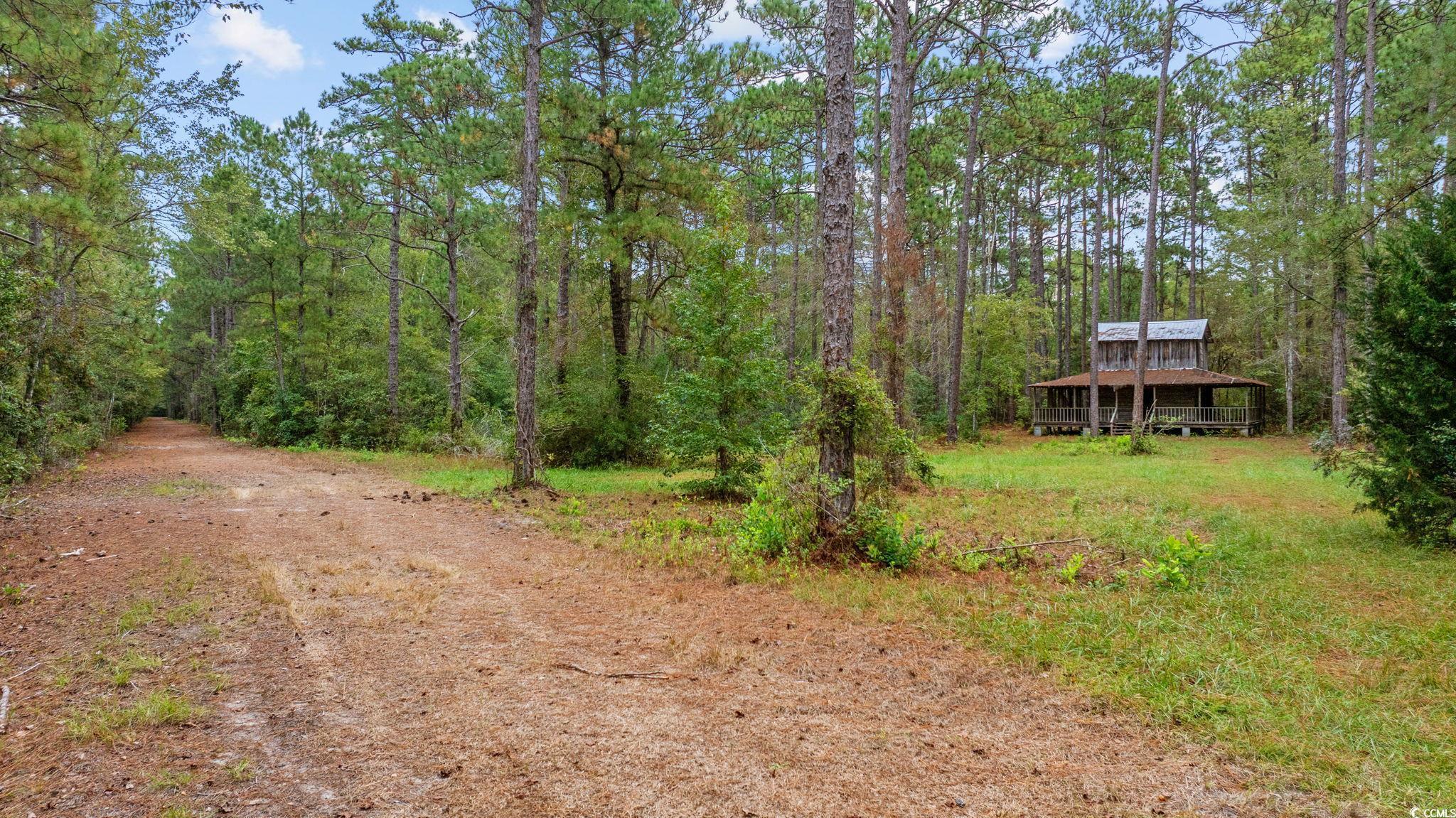 Loris, South Carolina, 29569, United States, ,Land,For Sale,1973987