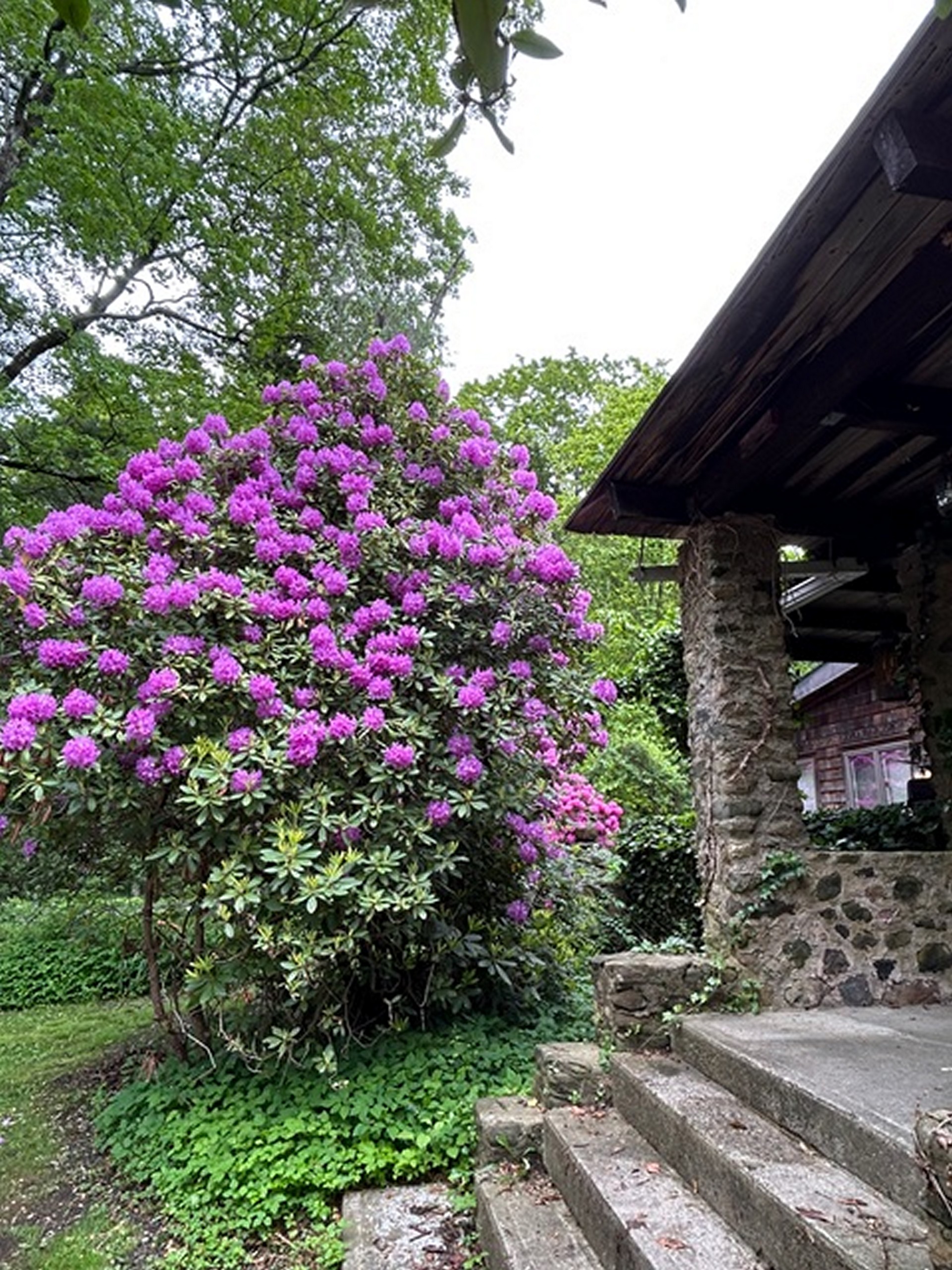  49 South Street - 物件實景