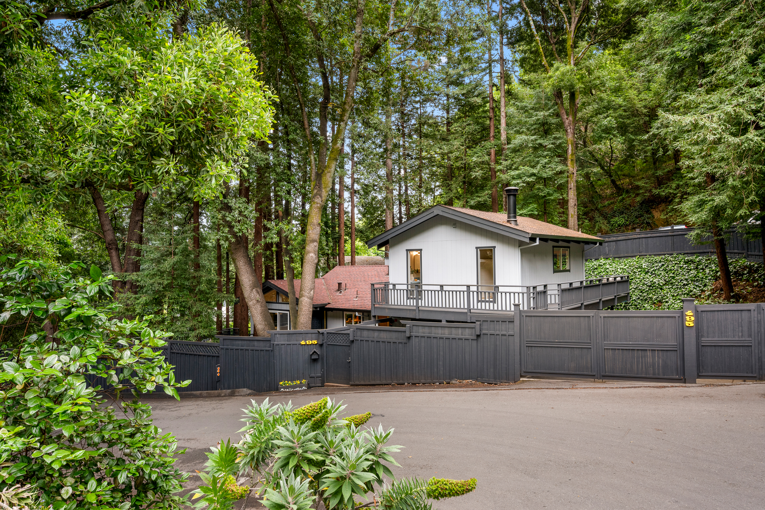  Magical Mid-Century Corte Madera Home - 物件實景