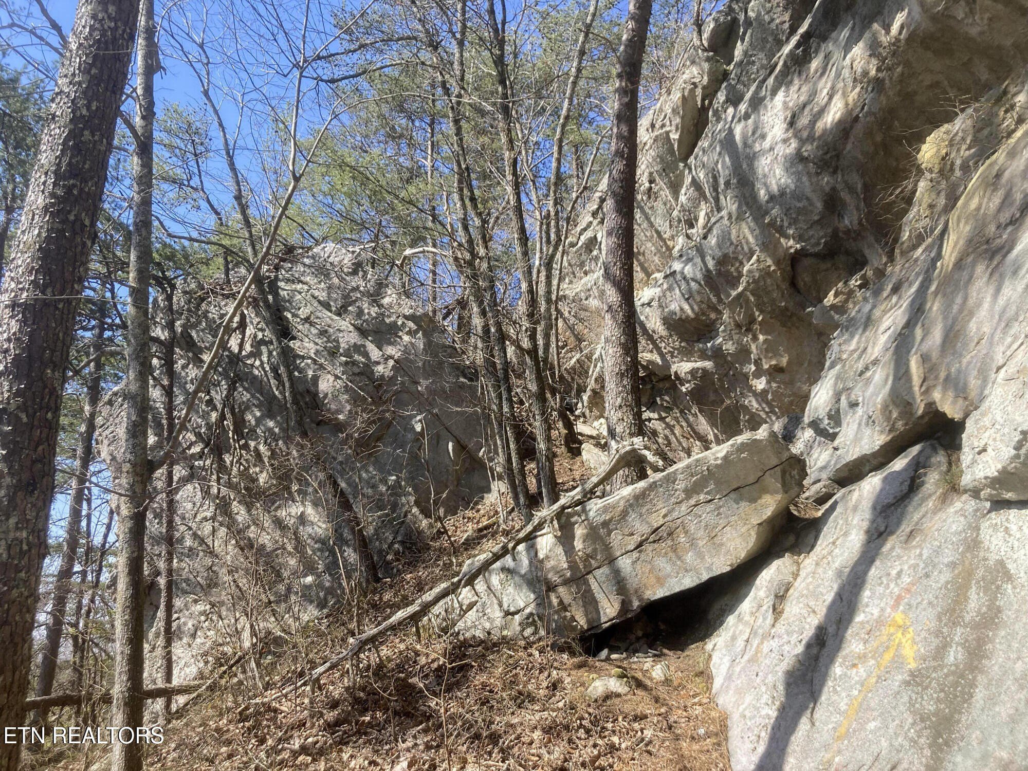 Pikeville, Tennessee, 37367, United States, ,Land,For Sale,1975616