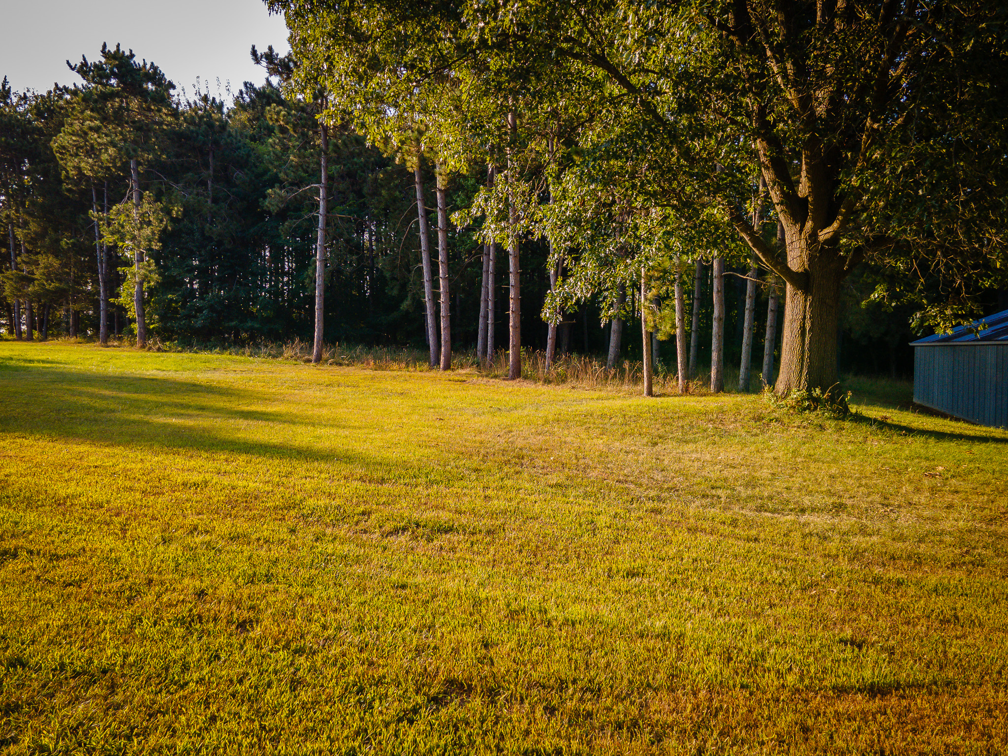 Jackson, Michigan, 49201, United States, 4 Bedrooms Bedrooms, ,2 BathroomsBathrooms,Residential,For Sale,1981022