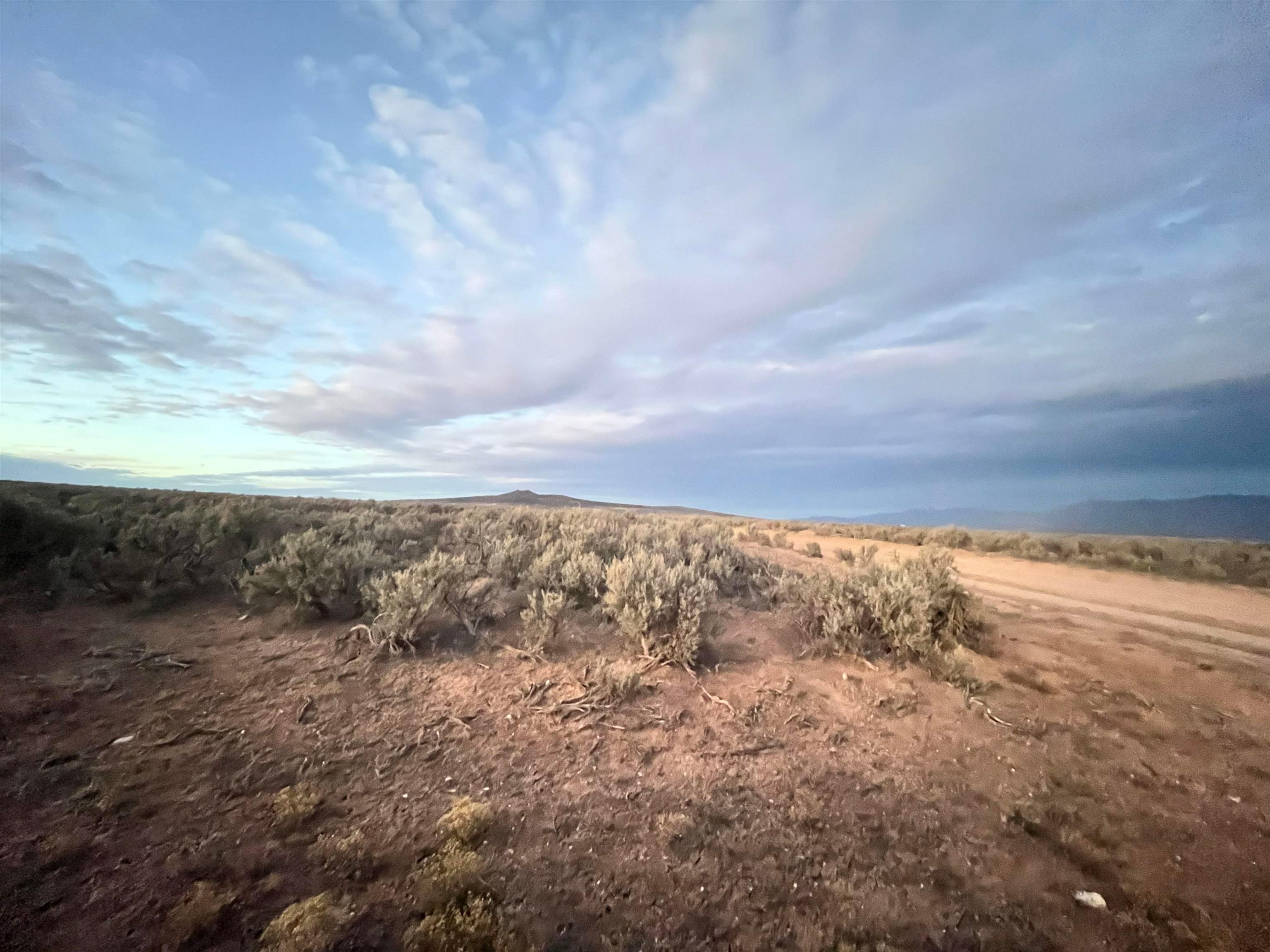 Sheep Herder Rd, Tres Piedras, New Mexico, 87577, United States, ,Land,For Sale,Sheep Herder Rd,1679207