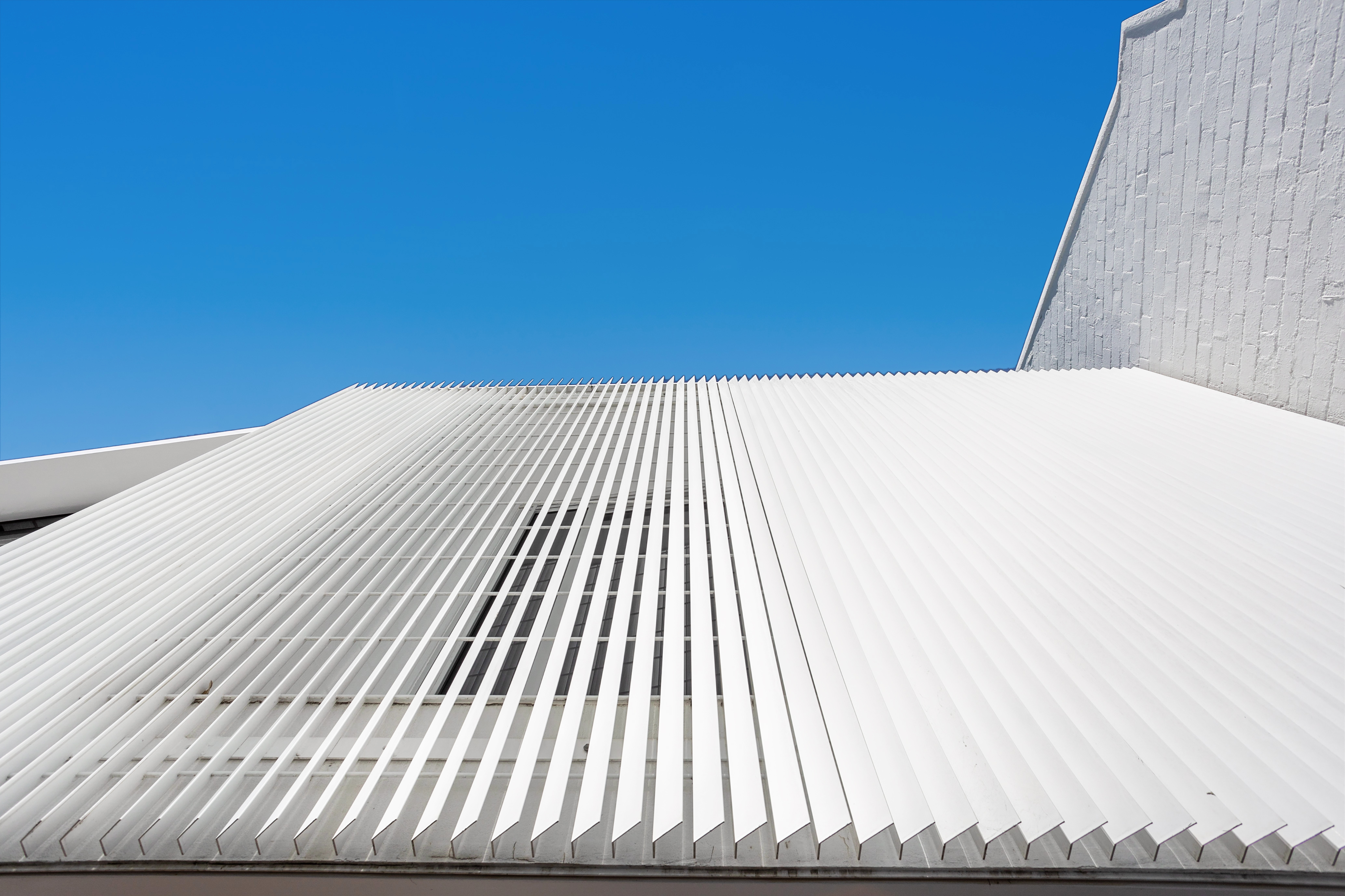  81 Leinster Street, Paddington - 物件實景
