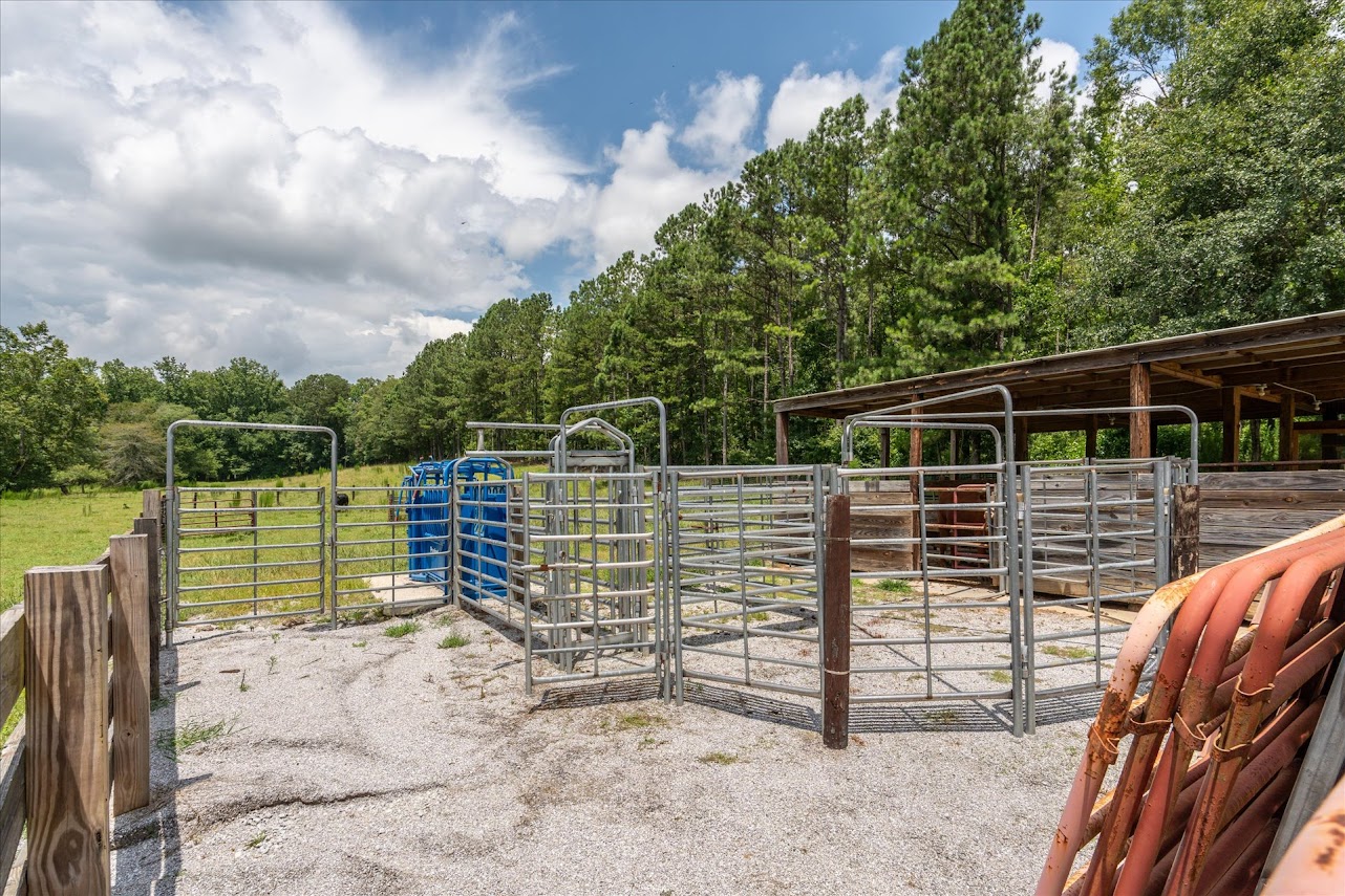 Heflin, Alabama, 36264, United States, ,Land,For Sale,1981342
