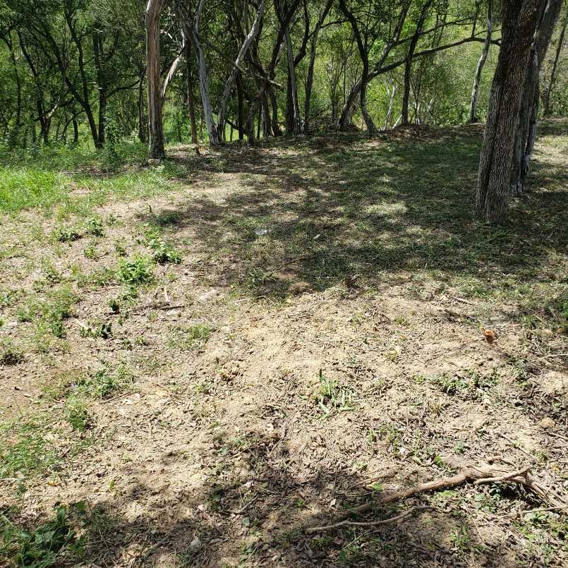 gonzalez, Santiago, Nuevo León, 67300, Mexico, 1 Bedroom Bedrooms, ,Residential,For Sale,gonzalez,1441494