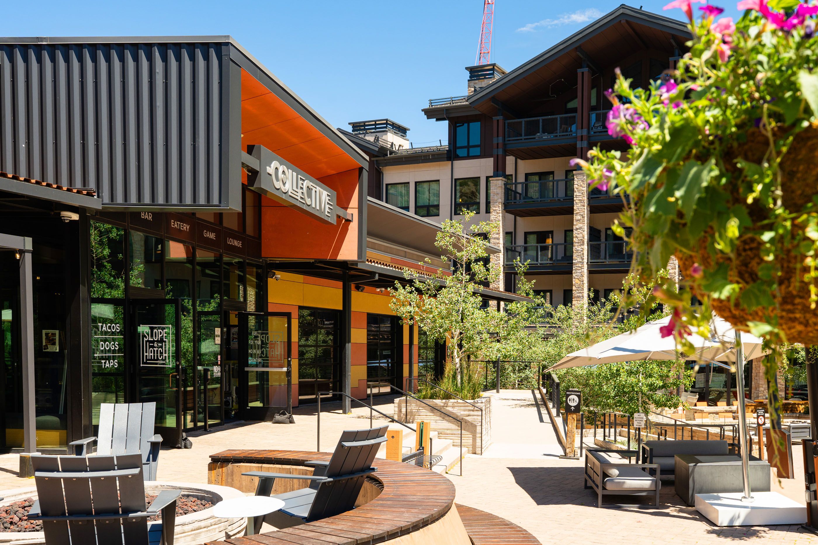  110 Carriage Way, Snowmass Village, CO, 81615 - 物件實景