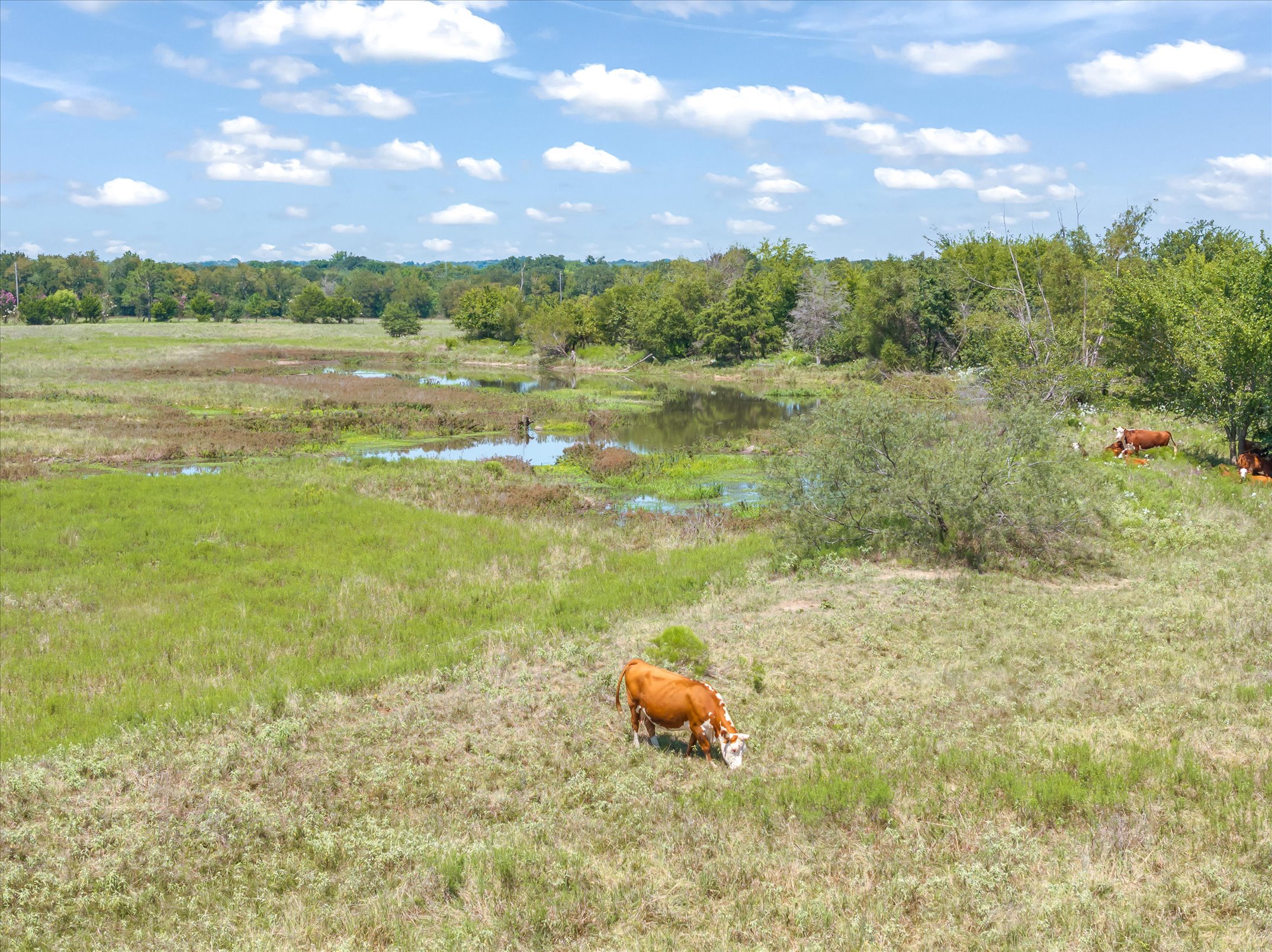 Wills Point, Texas, 75169, United States, 4 Bedrooms Bedrooms, ,3 BathroomsBathrooms,Residential,For Sale,1979230