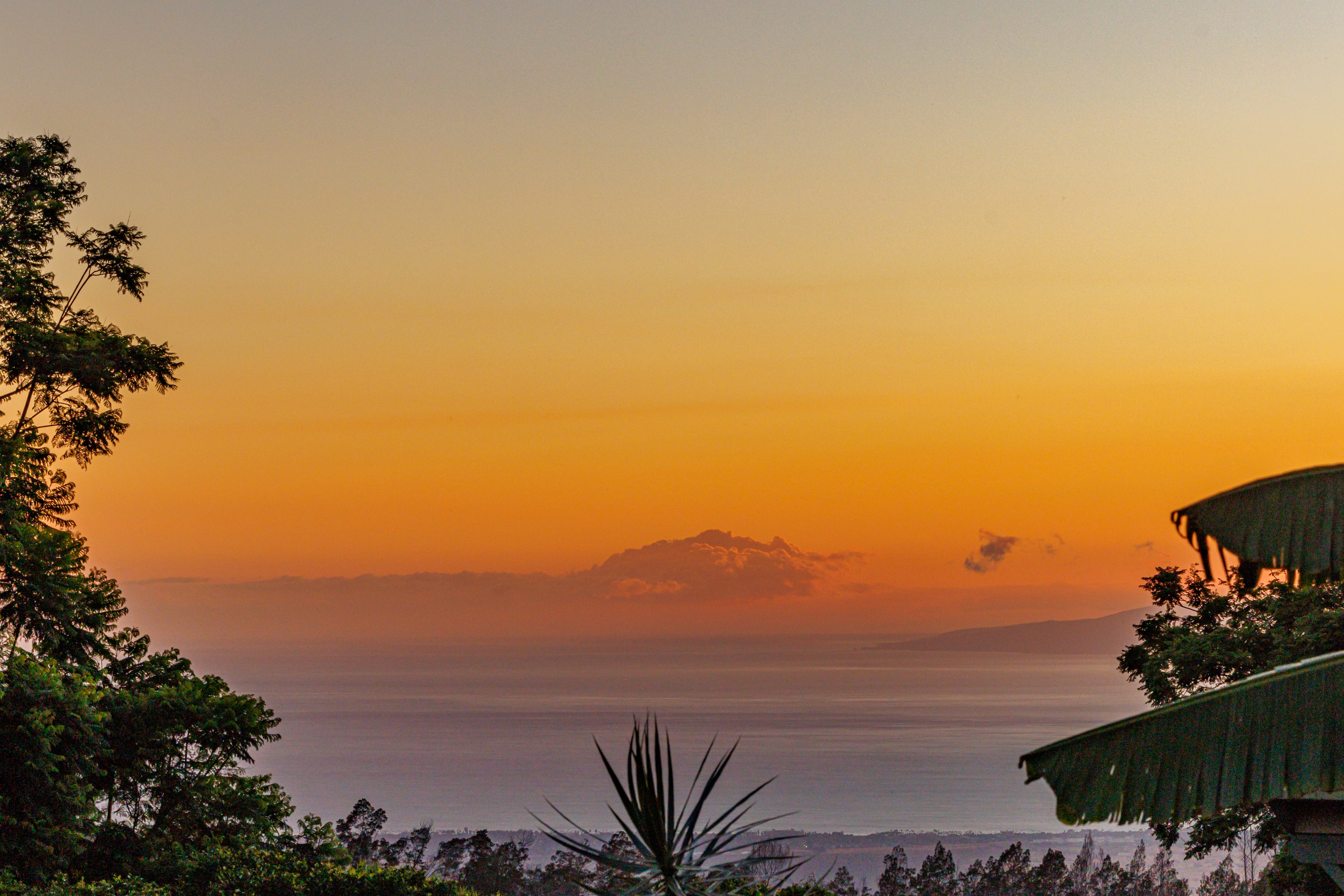  Modern Kula Orchards Home with Thoughtful Renovations - 物件實景