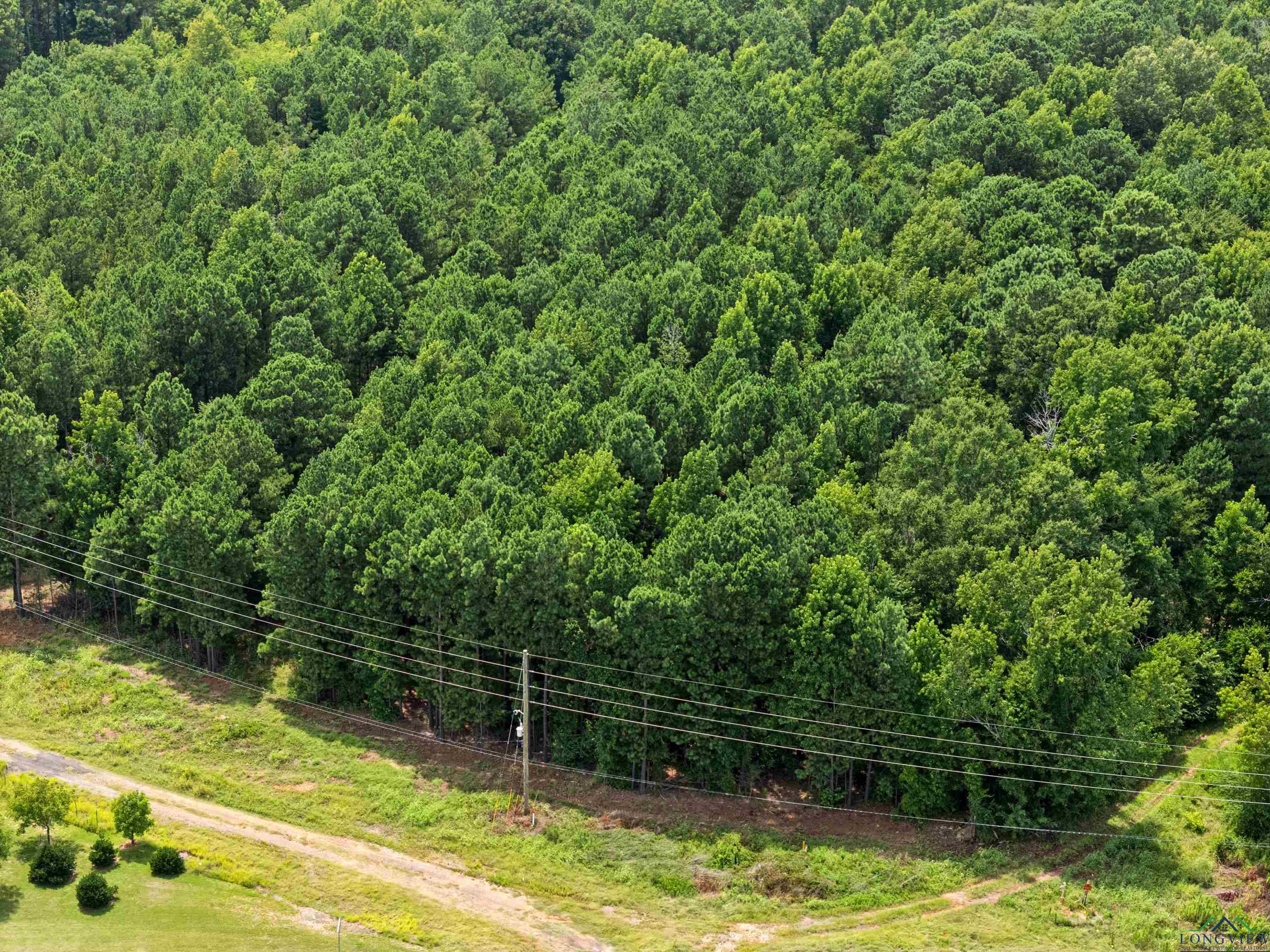 Kilgore, Texas, 75662, United States, ,Land,For Sale,1902397