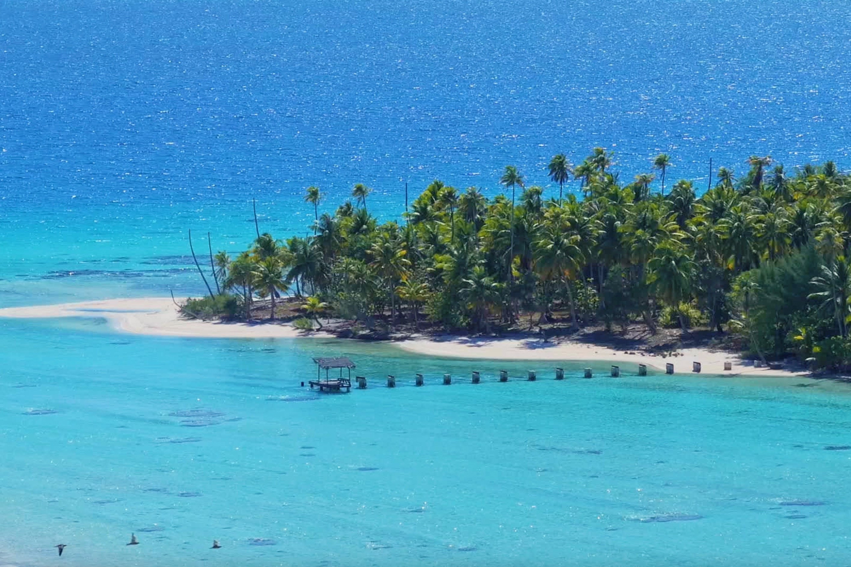  Tuamotu - Rangiroa - A private island to be reinvented - 物件實景