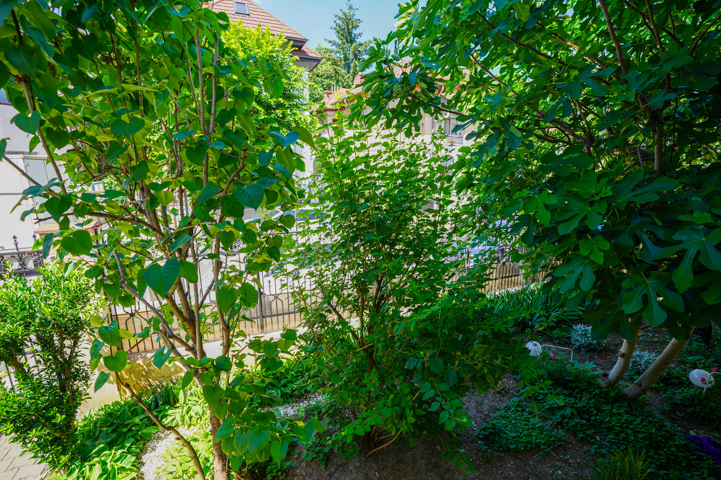  Authentic Interwar Villa with Original Features in Dorobani - Capitale - 物件實景