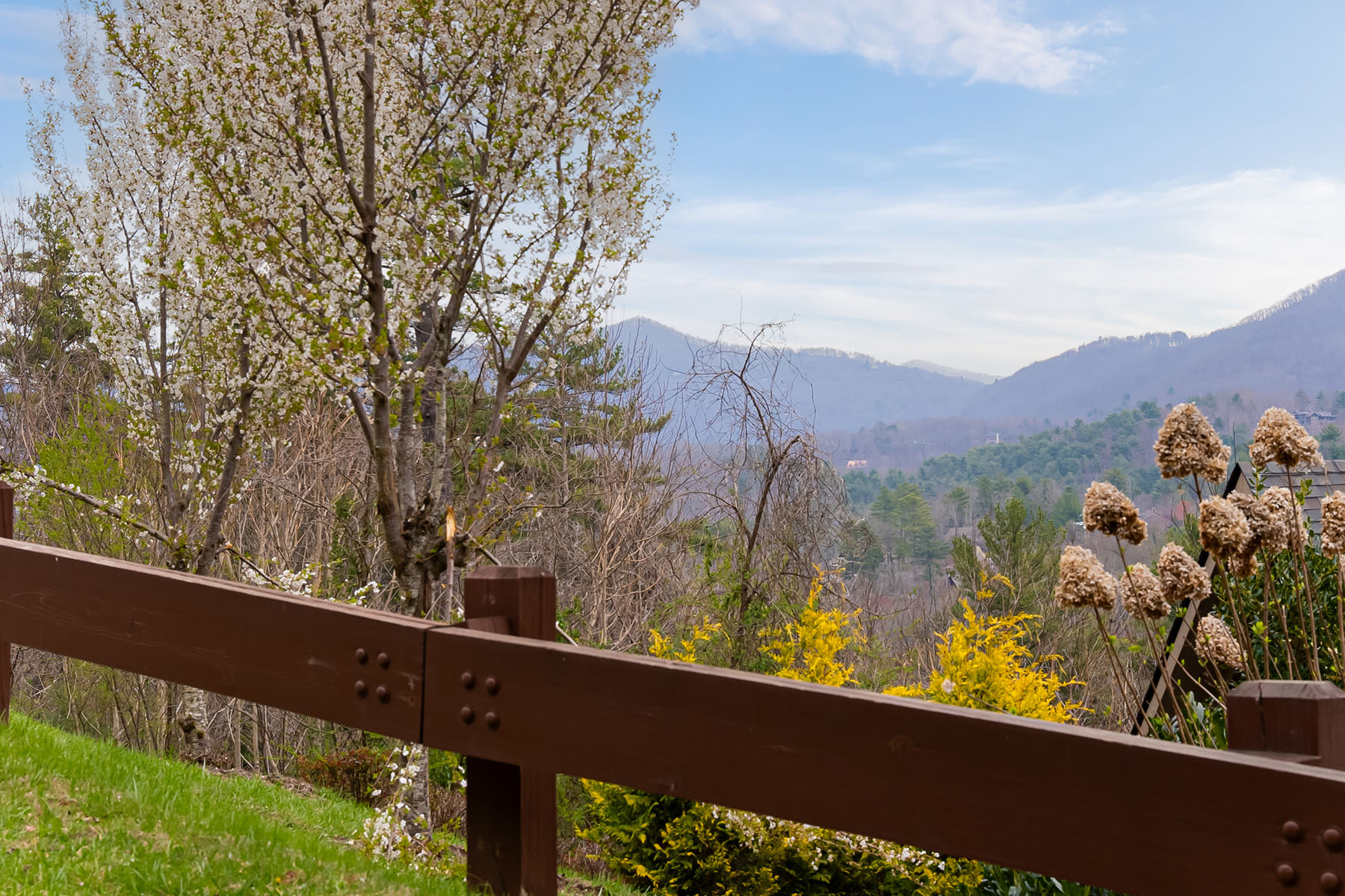  ASHEVILLE - 物件實景