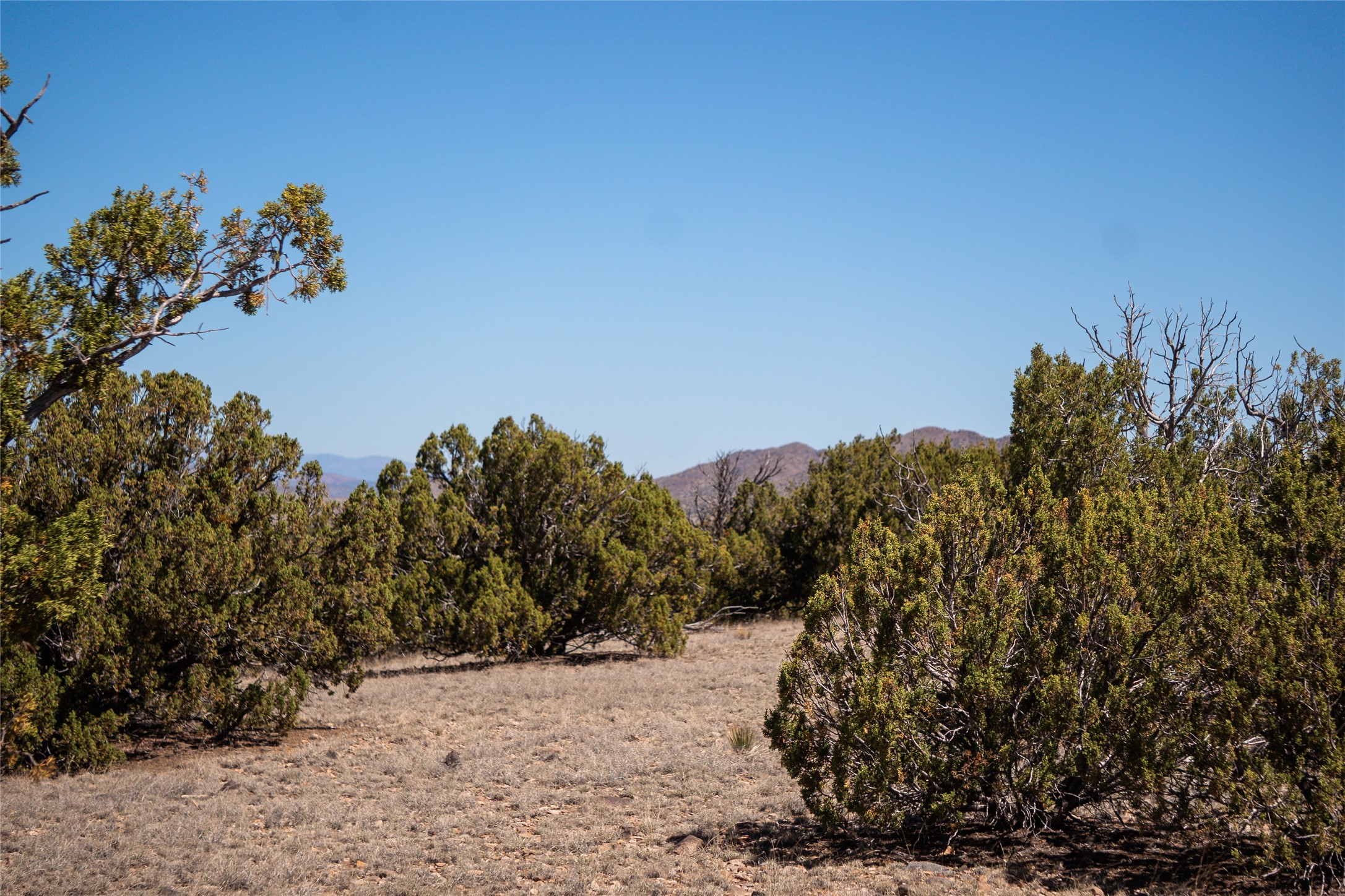  7 Rancho De Shama A - 物件實景
