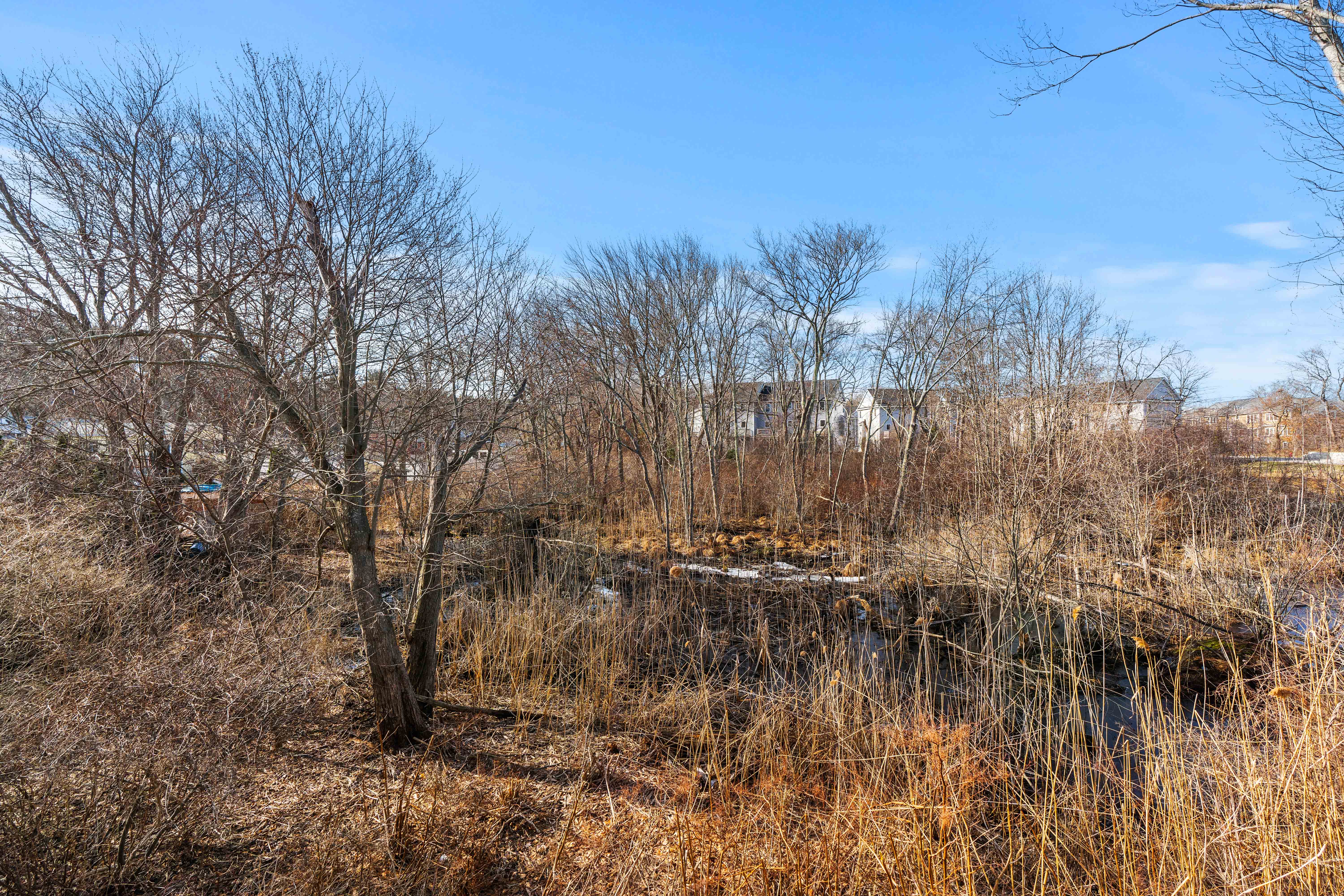  2 Heron Way, Salisbury, MA, 01952 - 物件實景