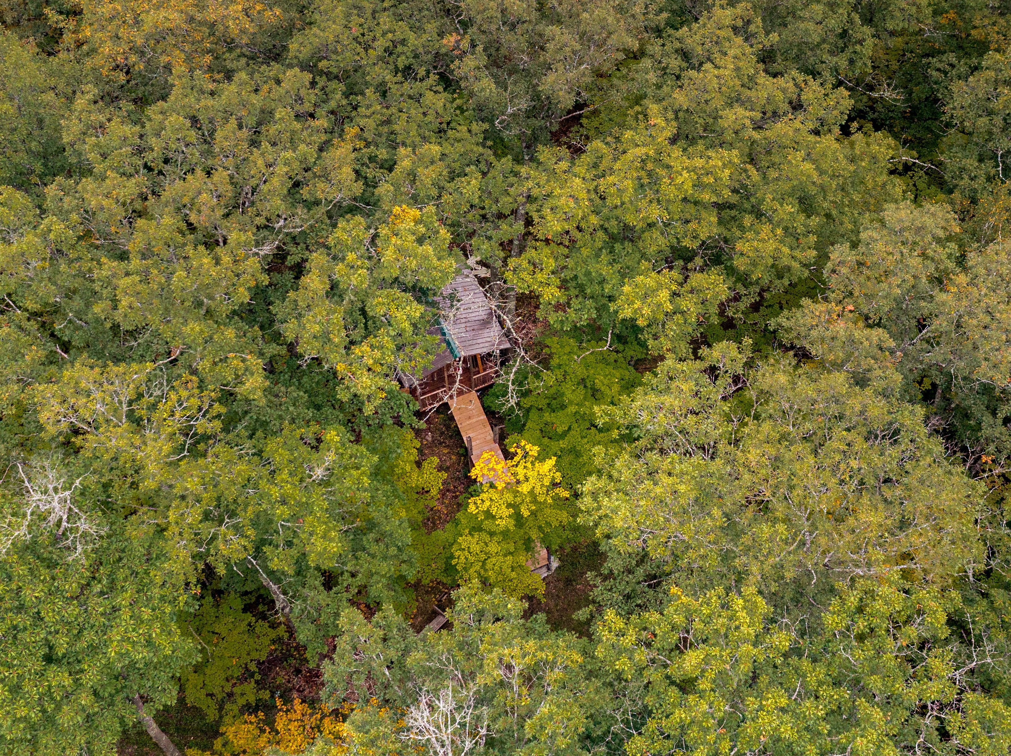  Luxury Woodland Retreat with Custom Craftsmanship and Treehouse Escape - 物件實景