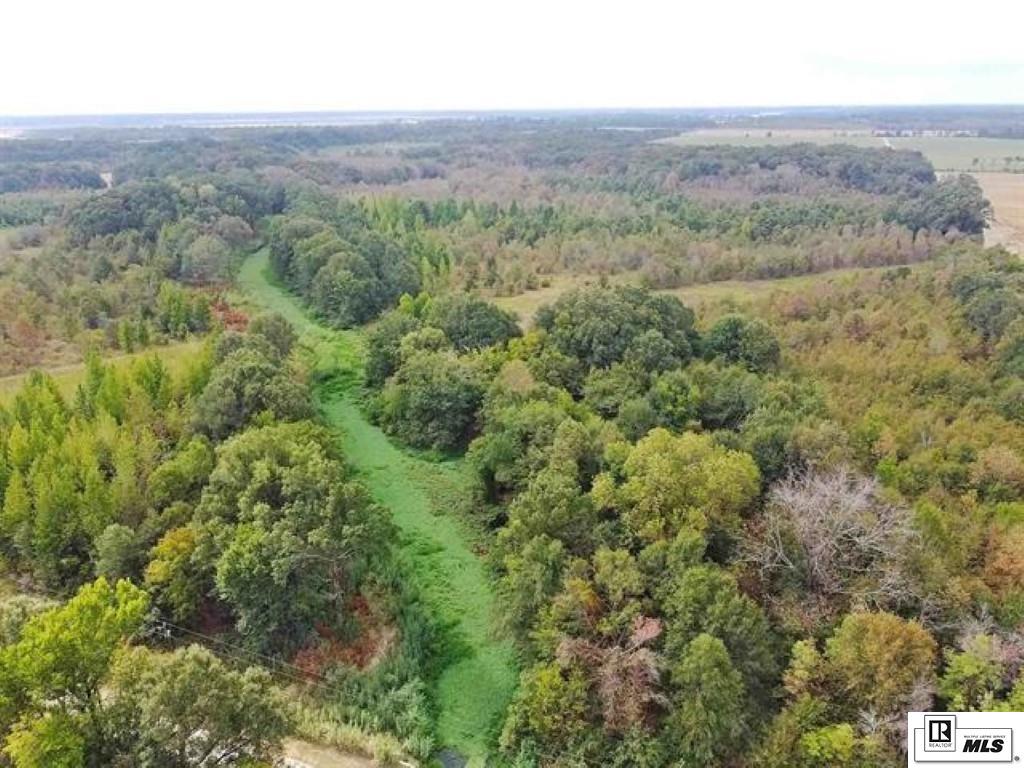 593 FORTENBERRY ROAD, Rayville, Louisiana, 71269, United States, ,Land,For Sale,593 FORTENBERRY ROAD,1683237