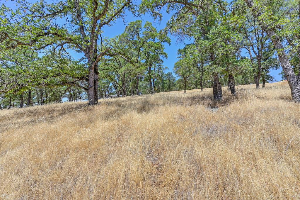 El Dorado Hills, California, 95762, United States, ,Land,For Sale,1874458