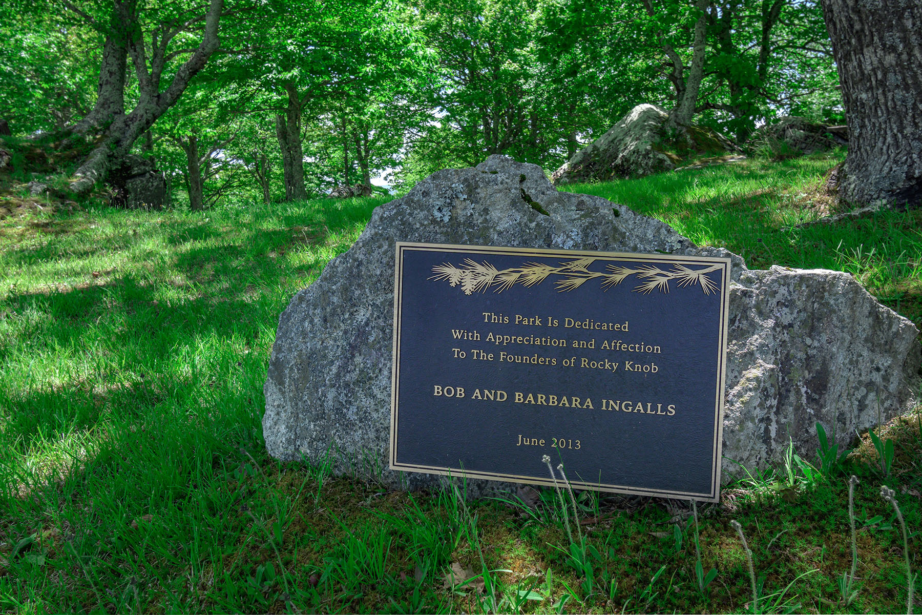  BANNER ELK - ROCKY KNOB - 物件實景