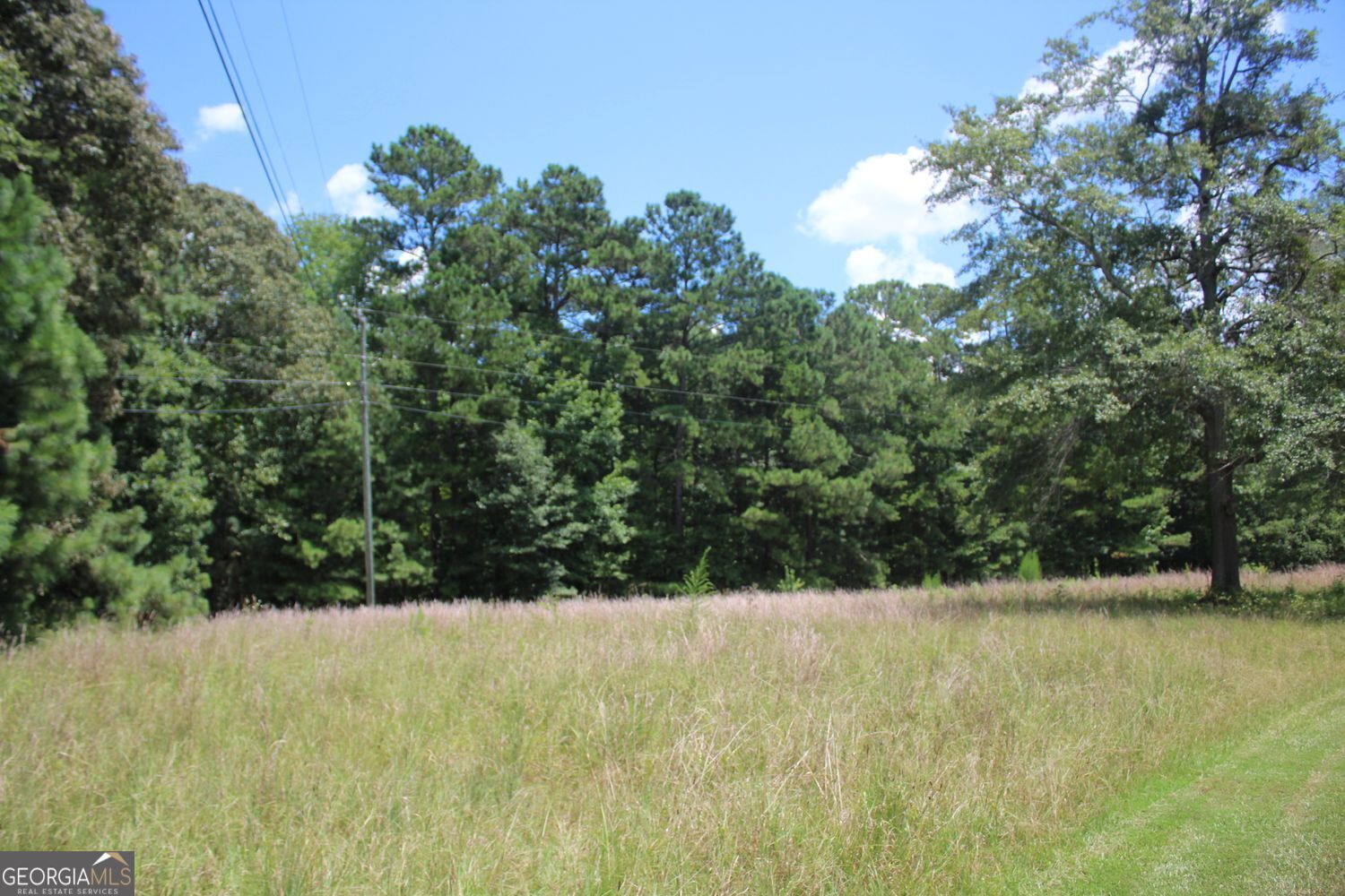 Hampton, Georgia, 30228, United States, 3 Bedrooms Bedrooms, ,2 BathroomsBathrooms,Residential,For Sale,1858879