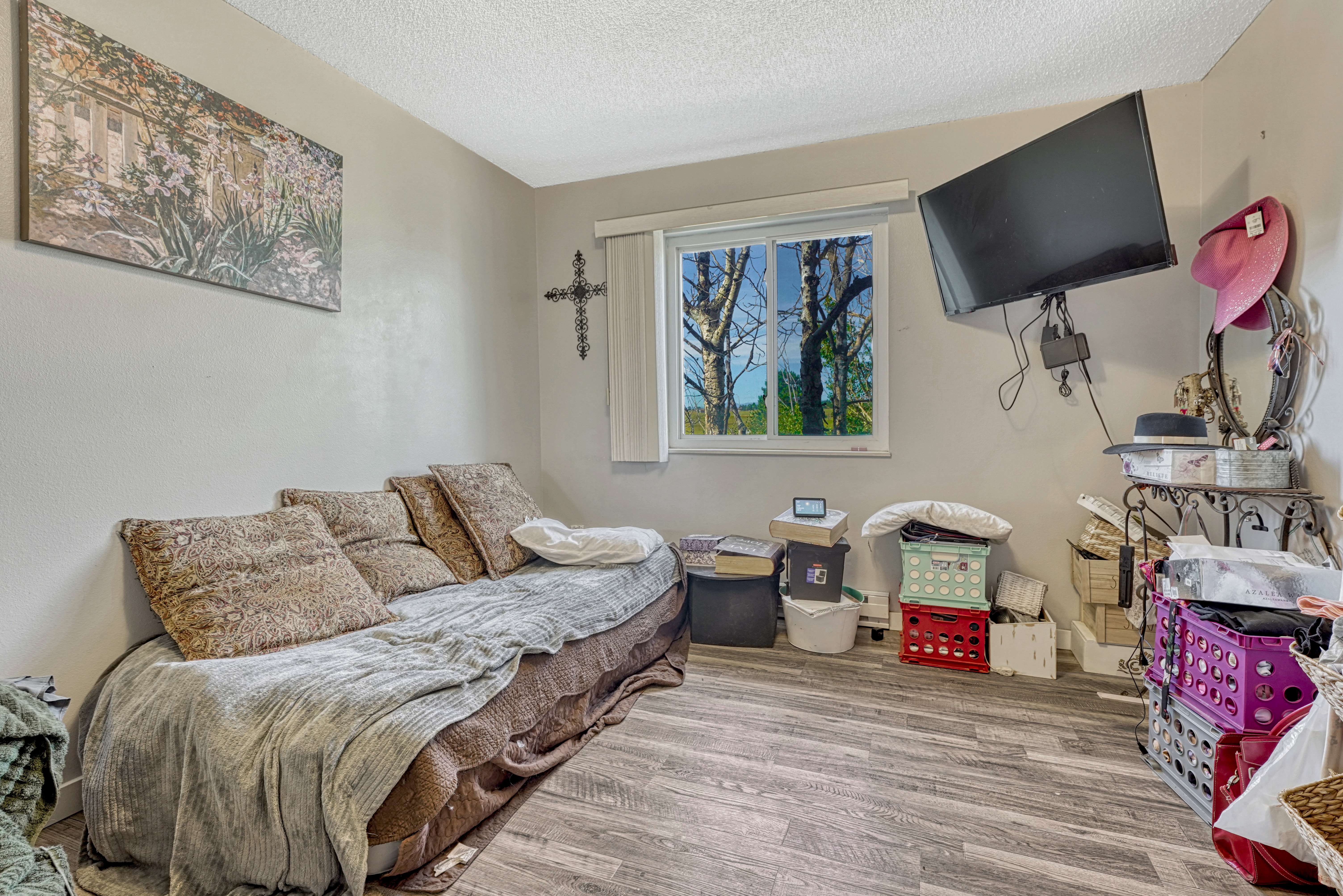  Amazing equestrian property in Black Forest on almost 6 acres - 物件實景