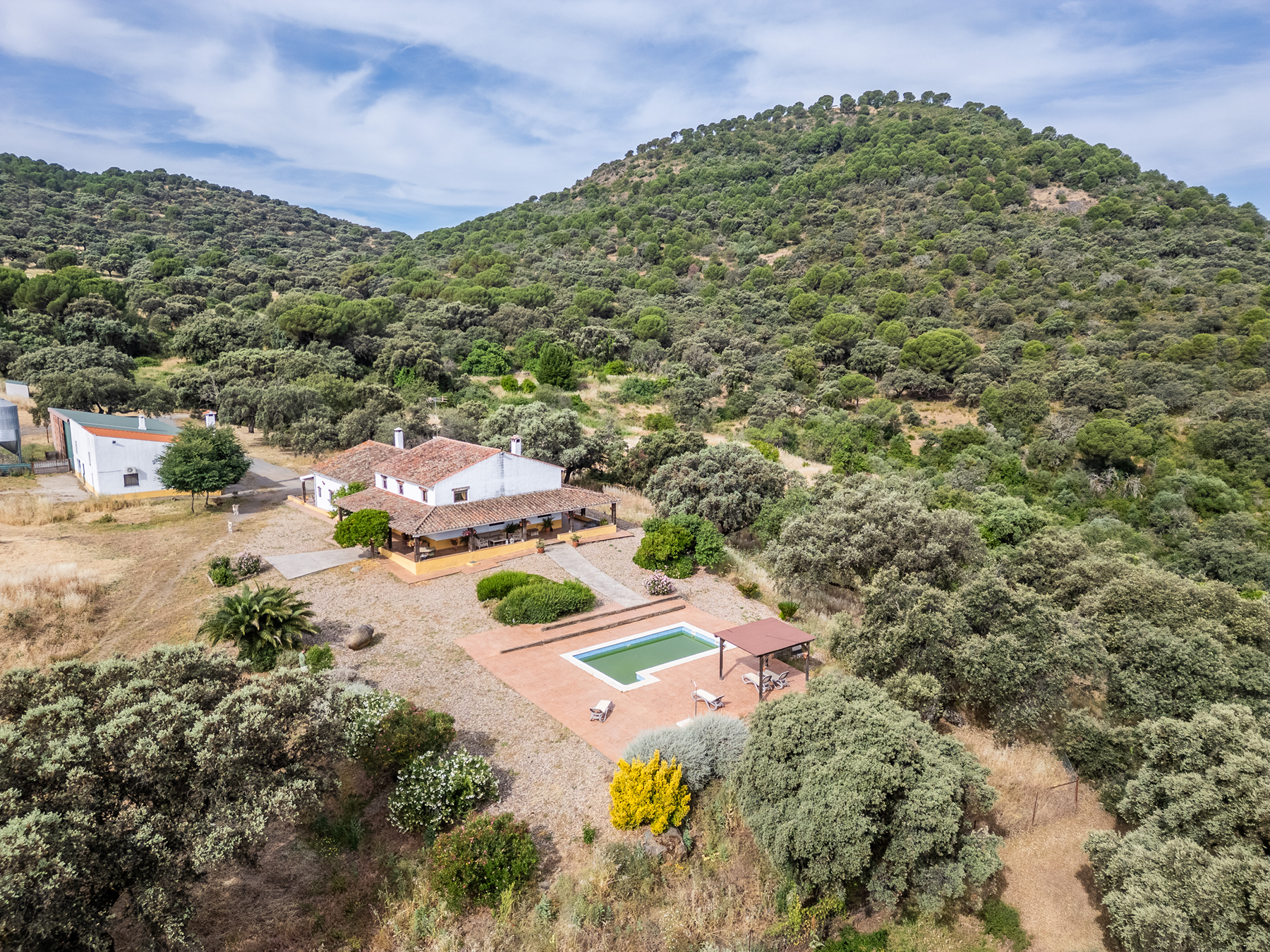  Recreational and hunting estate in the Sierra de Córdoba - 物件實景