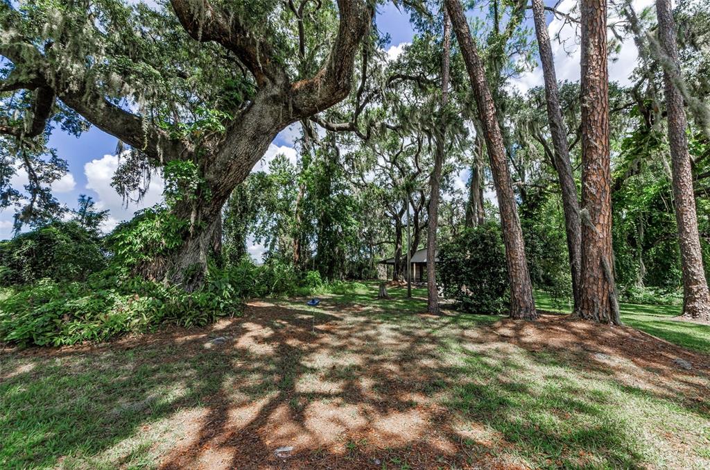 Plant City, Florida, 33566, United States, 3 Bedrooms Bedrooms, ,2 BathroomsBathrooms,Residential,For Sale,1932483