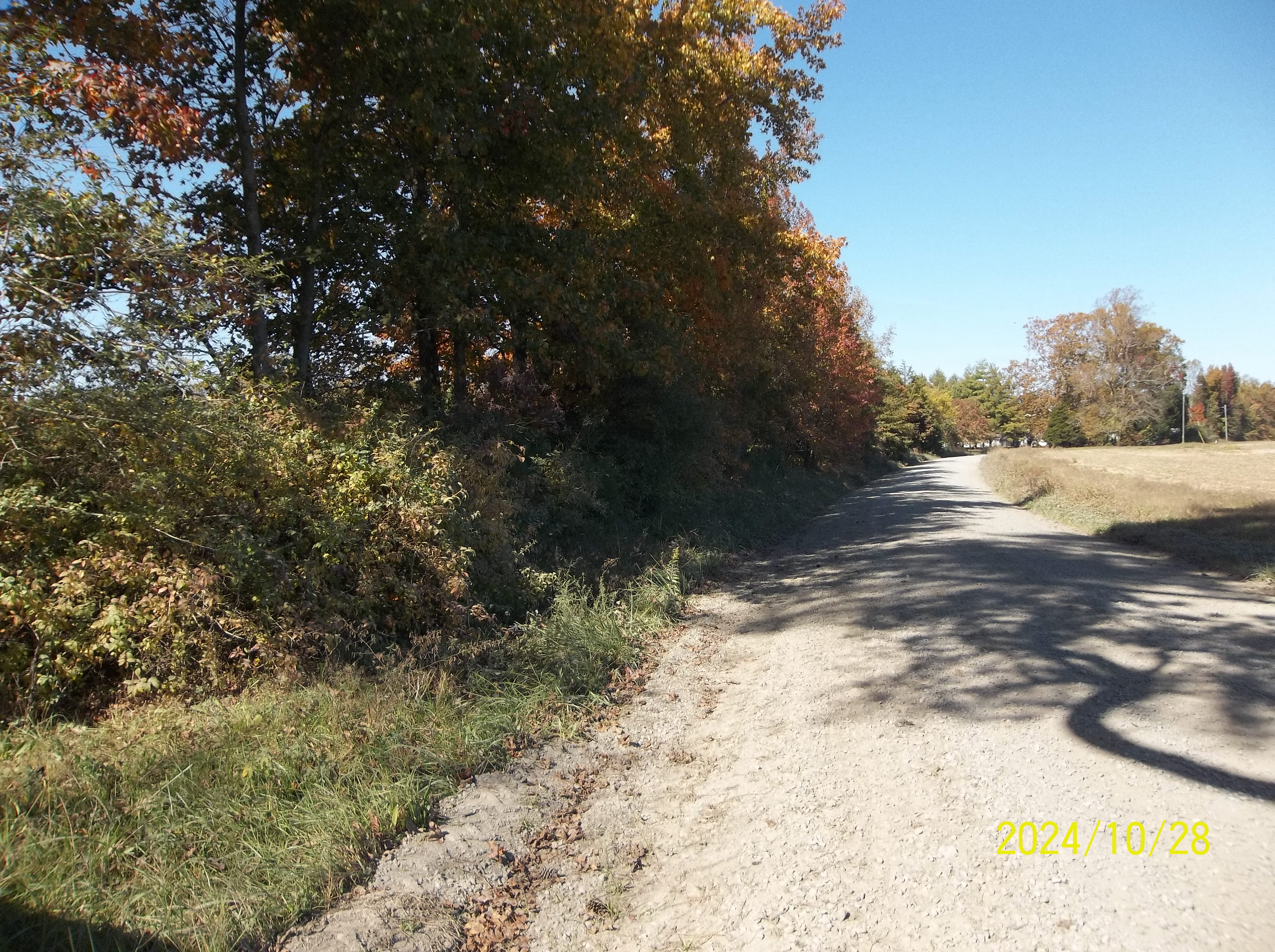 Drewryville, Virginia, 23844, United States, ,Residential,For Sale,1924271