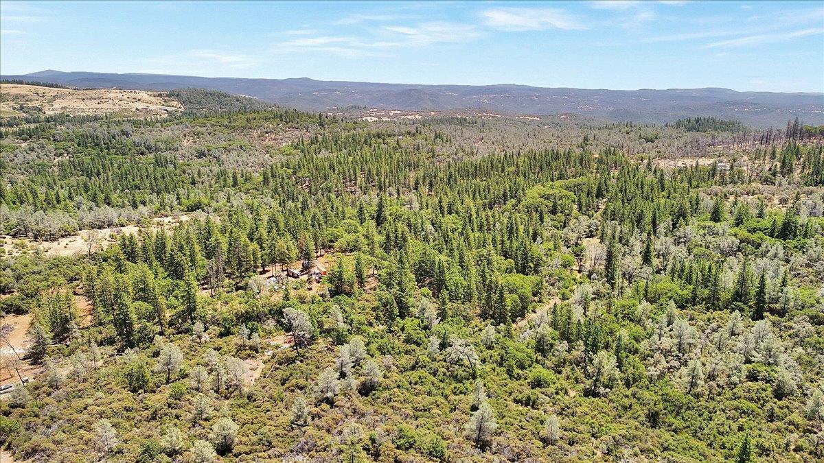 Oregon House, California, 95962, United States, ,Land,For Sale,1975767