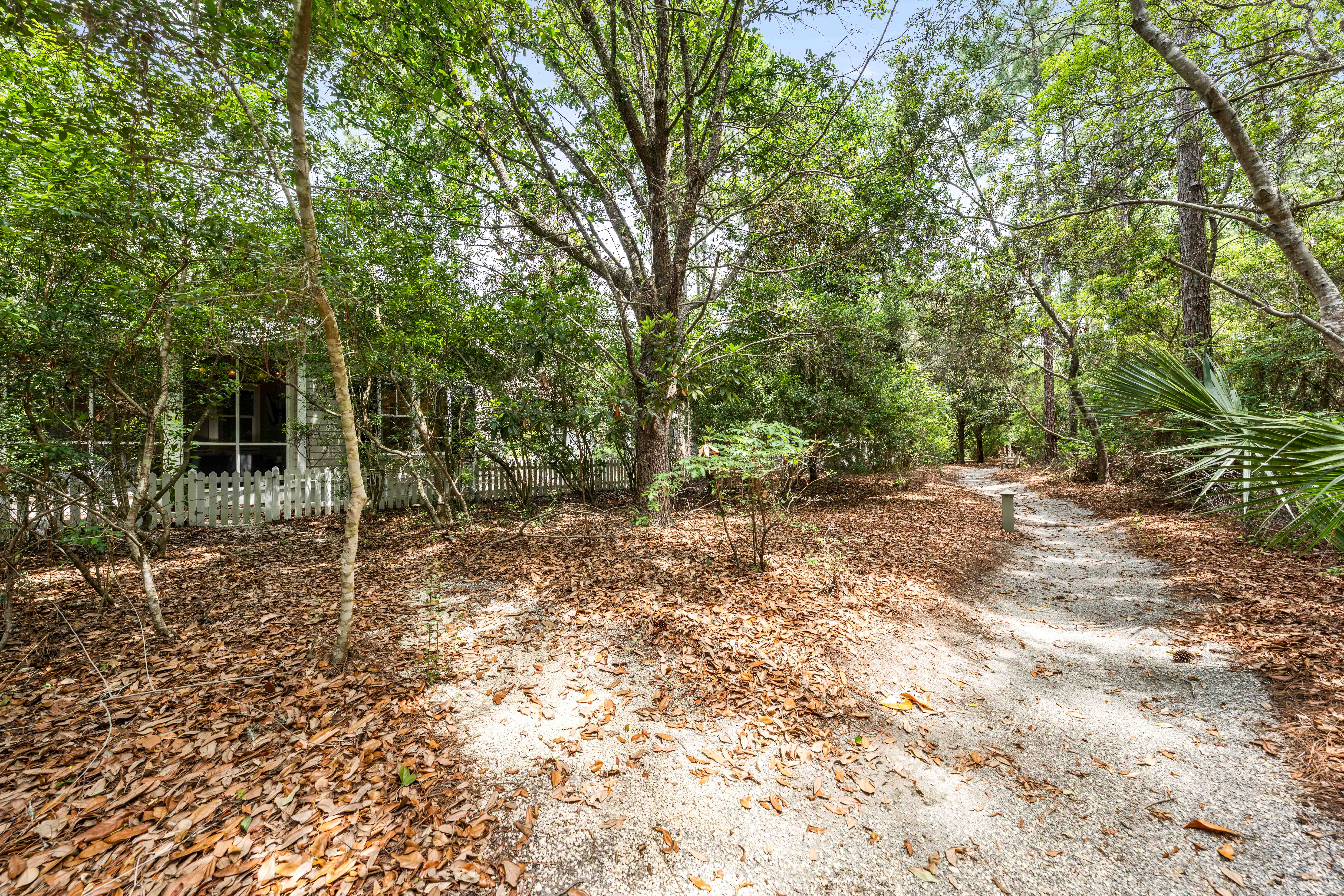  Updated Watersound Origins Home with Screened Porch & Green Space Views - 物件實景