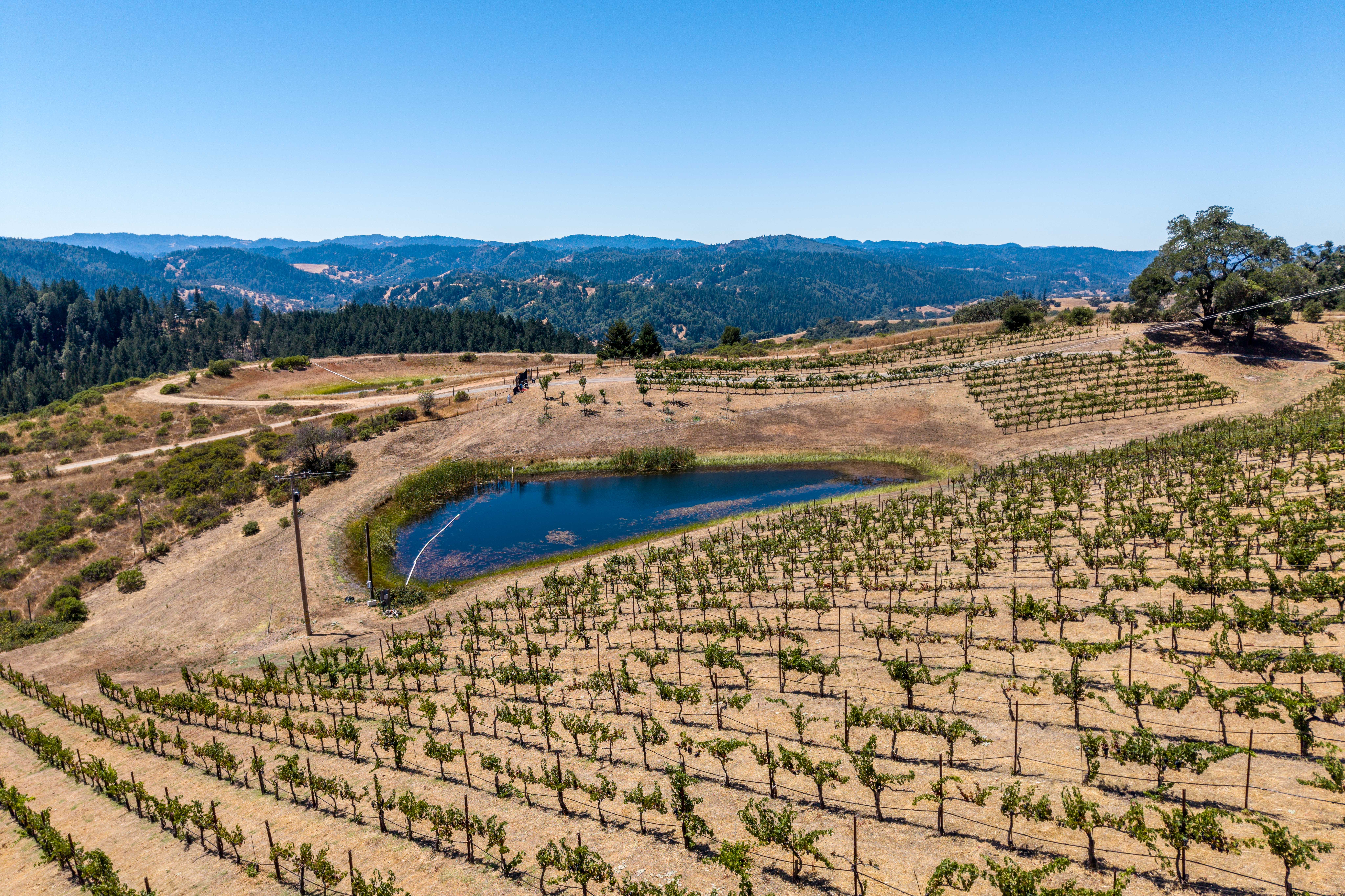  18115 Highlands Ridge Road, Yorkville, CA 95494 - 物件實景