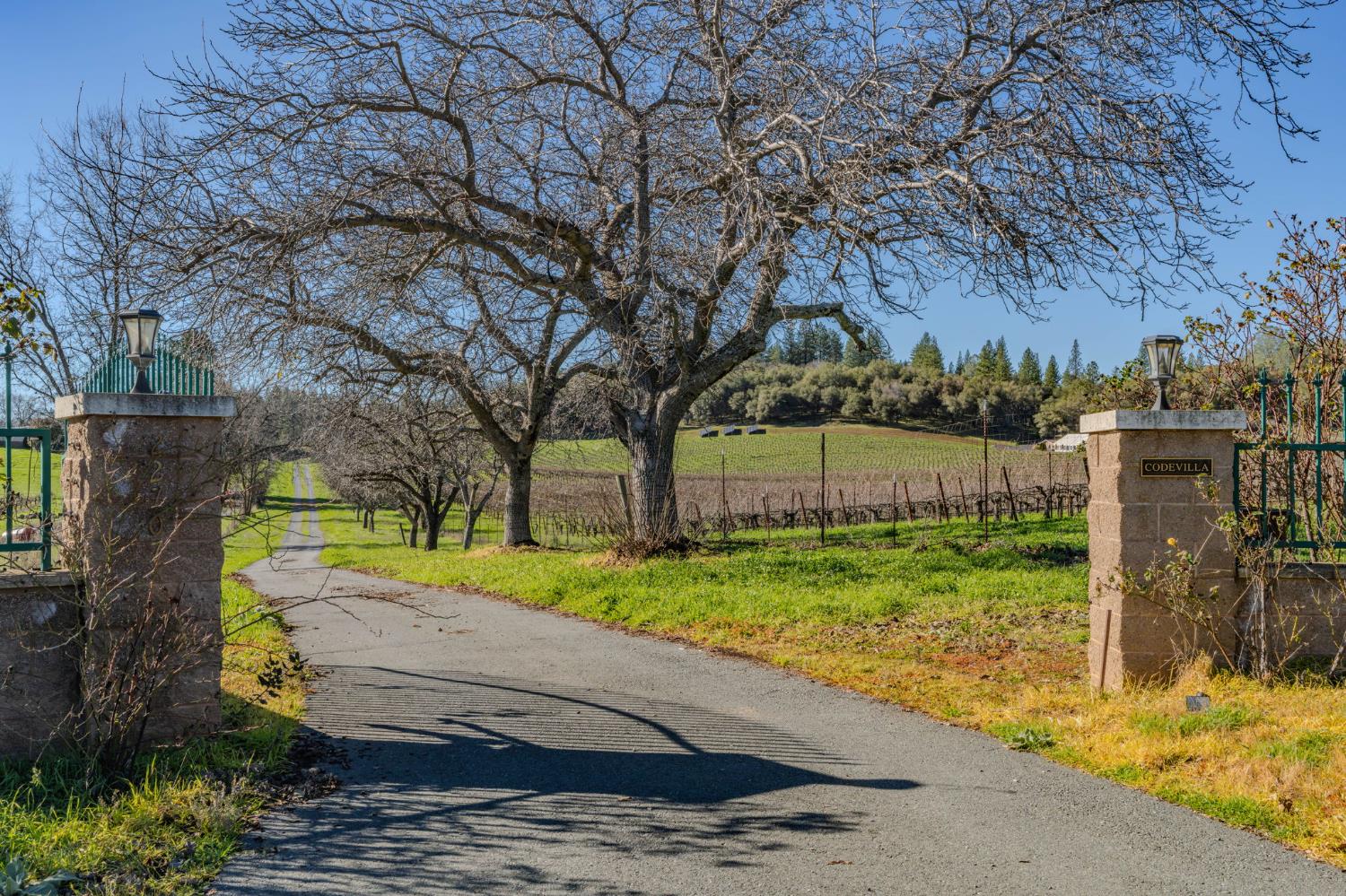 Plymouth, California, 95669, United States, 3 Bedrooms Bedrooms, ,3 BathroomsBathrooms,Residential,For Sale,1979143