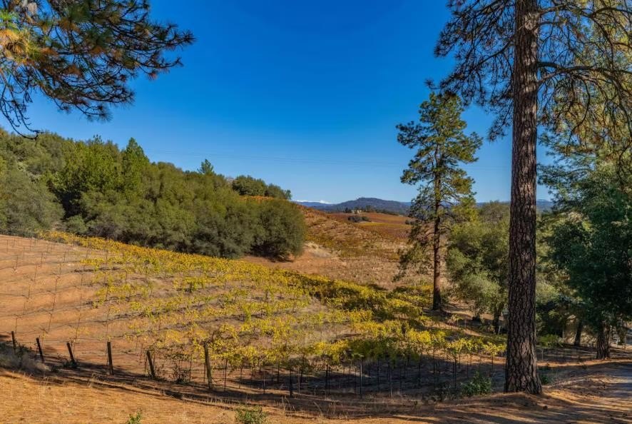 Plymouth, California, 95669, United States, 3 Bedrooms Bedrooms, ,3 BathroomsBathrooms,Residential,For Sale,1979143