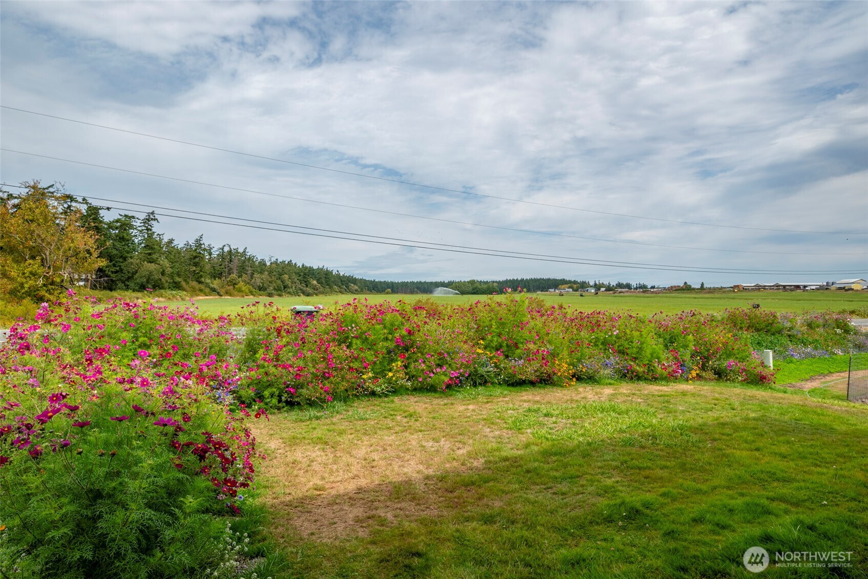 Oak Harbor, Washington, 98277, United States, 4 Bedrooms Bedrooms, ,1 BathroomBathrooms,Residential,For Sale,1926179