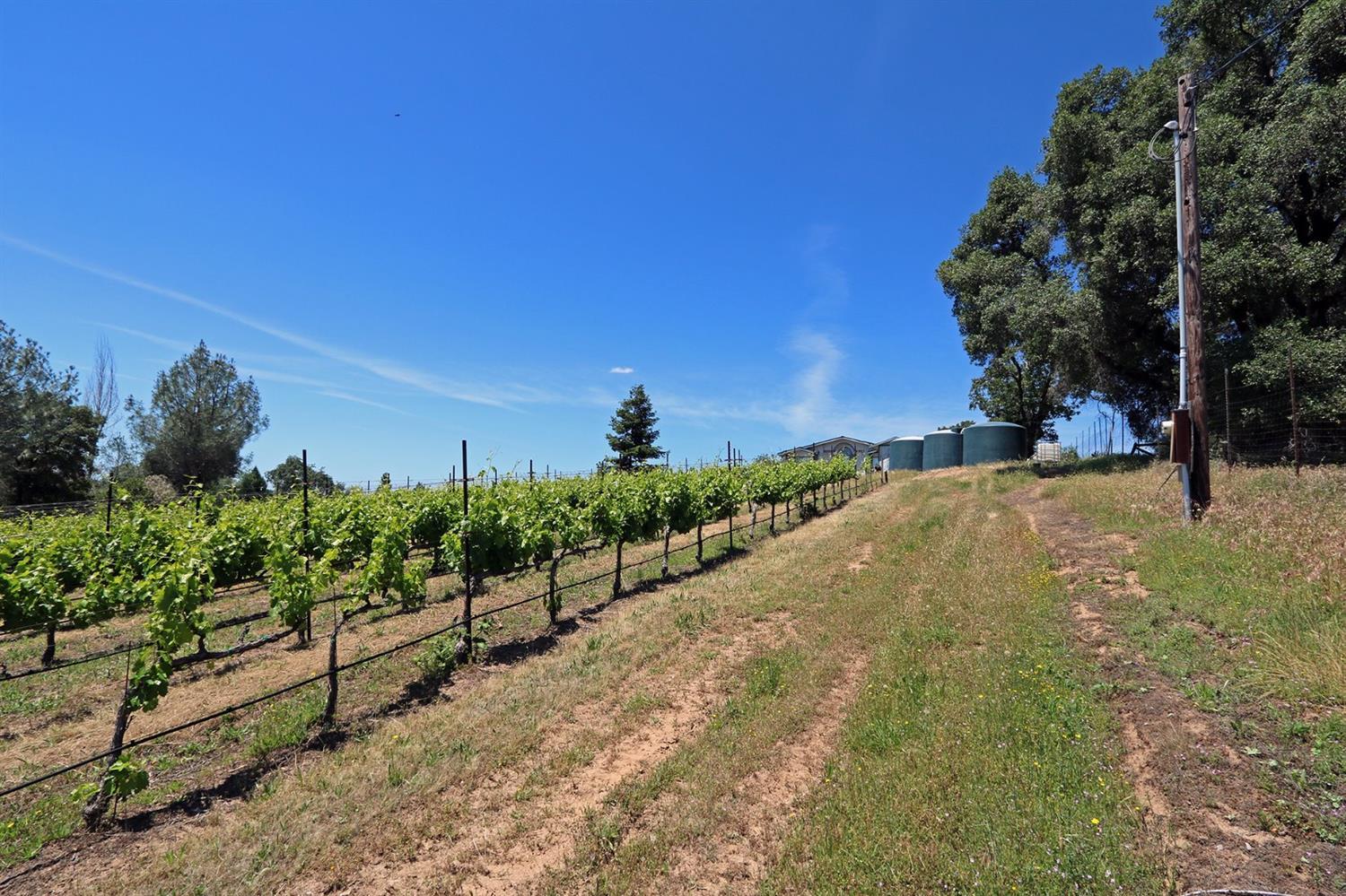 2145 Hidden Ranch Road, Somerset, California, 95684, United States, 3 Bedrooms Bedrooms, ,4 BathroomsBathrooms,Residential,For Sale,2145 Hidden Ranch Road,1048969