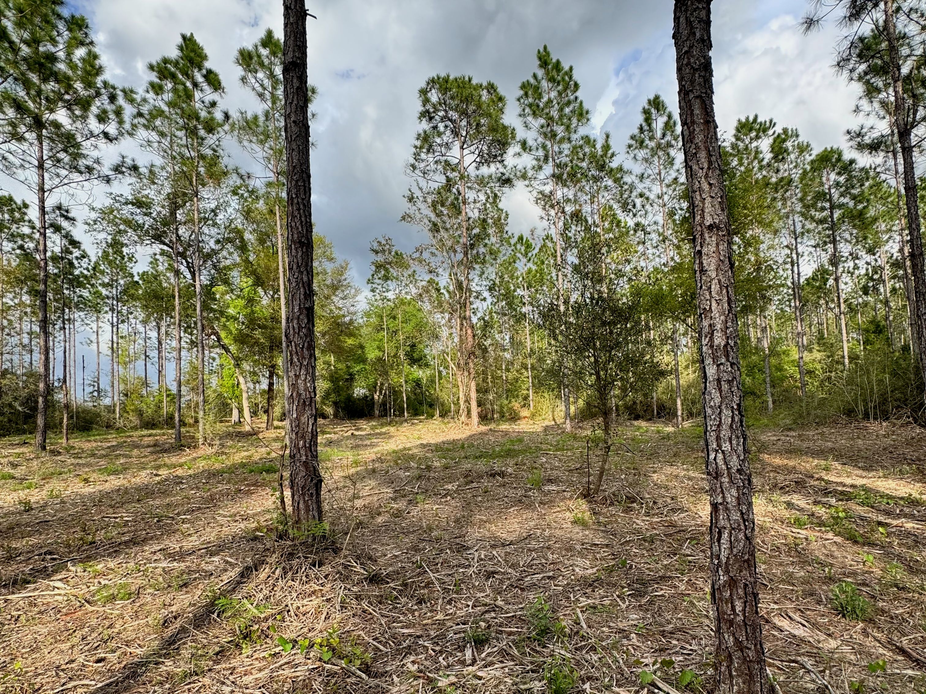  Creekside Estate Homesite  14.88 Acres - 物件實景