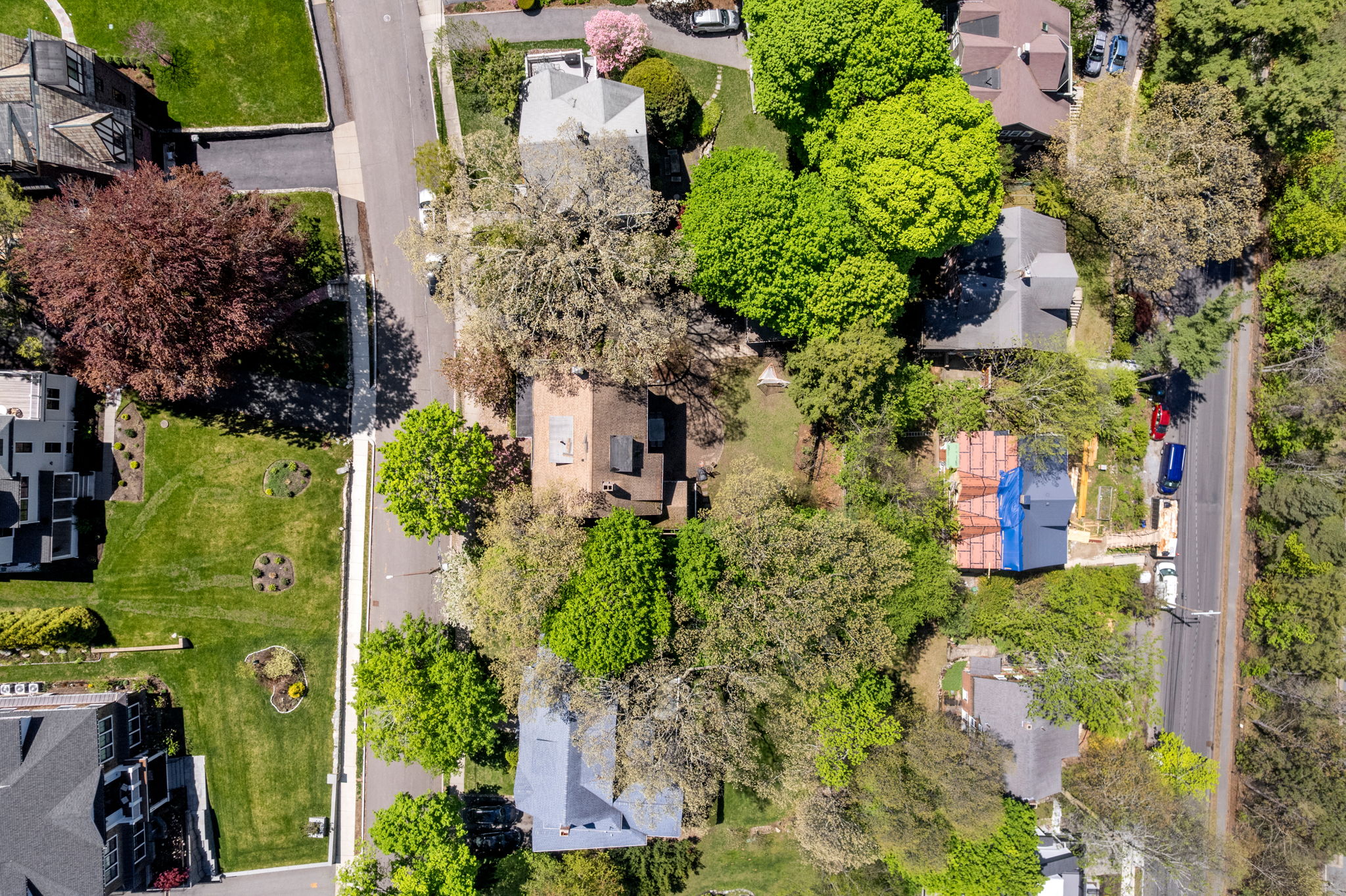  189 Mount Vernon Street, Newton, MA, 02465 - 物件實景
