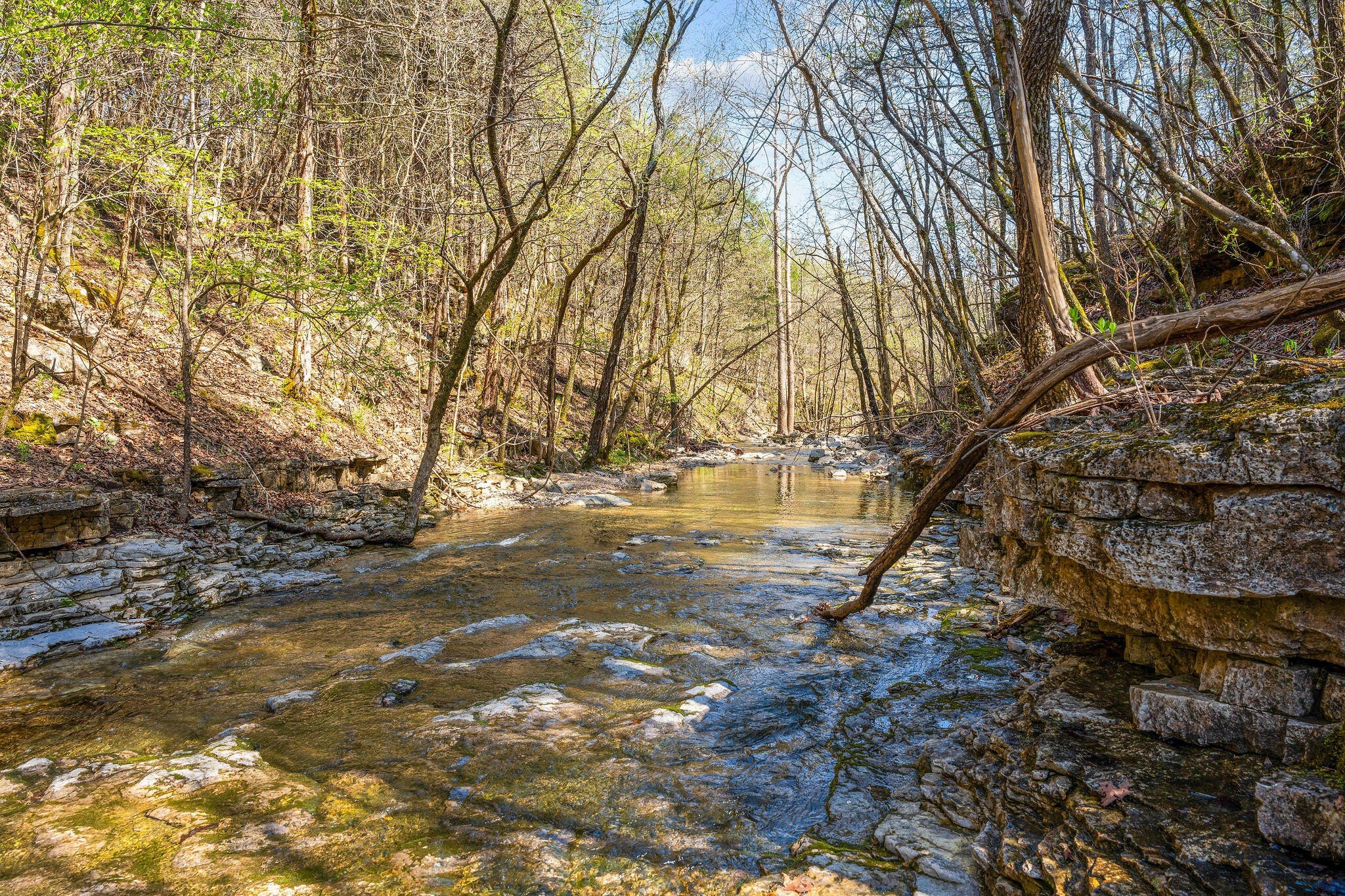 Kirbyville, Missouri, 65679, United States, ,Land,For Sale,1978892