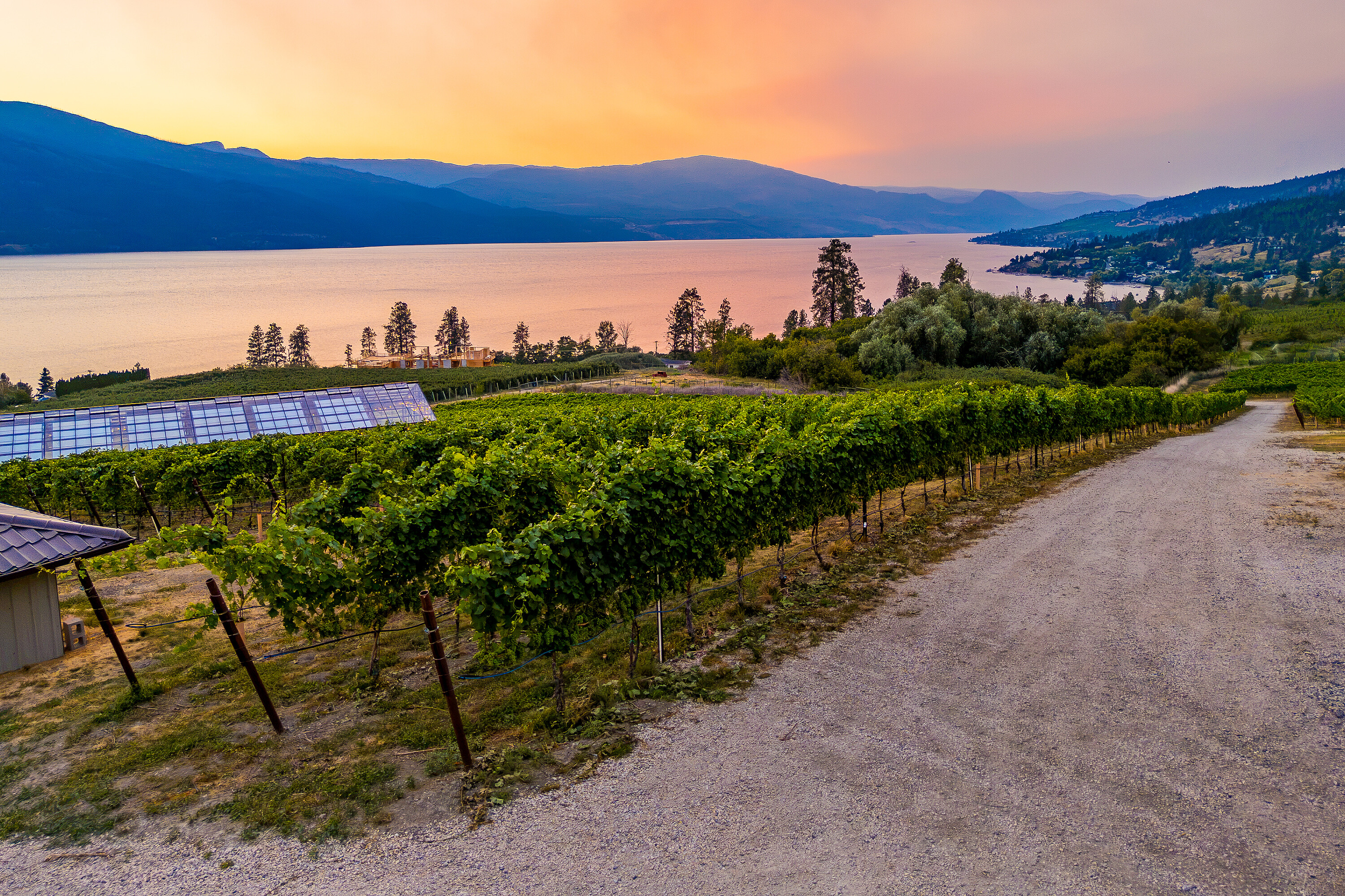  Scenic Vineyard Home - 物件實景