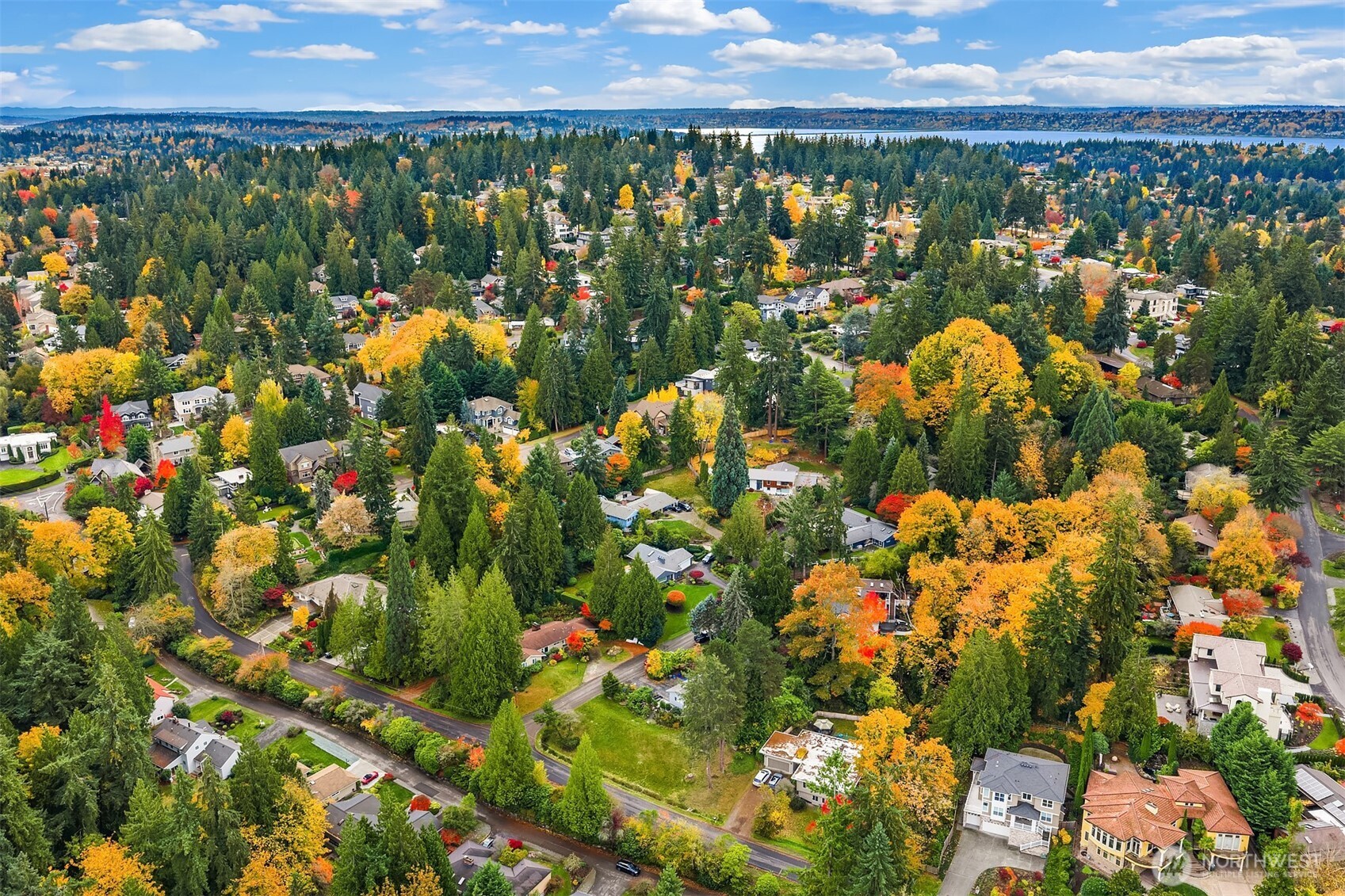 Bellevue, Washington, 98004, United States, ,Land,For Sale,1987927