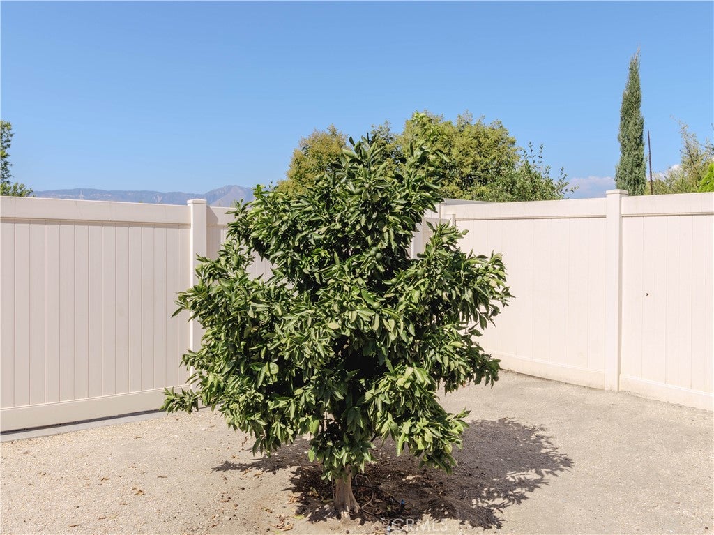 Redlands, California, 92374, United States, 4 Bedrooms Bedrooms, ,2 BathroomsBathrooms,Residential,For Sale,1921818