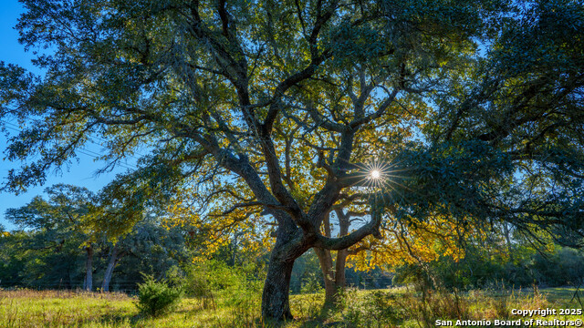 Yoakum, Texas, 77995, United States, ,Land,For Sale,1988104