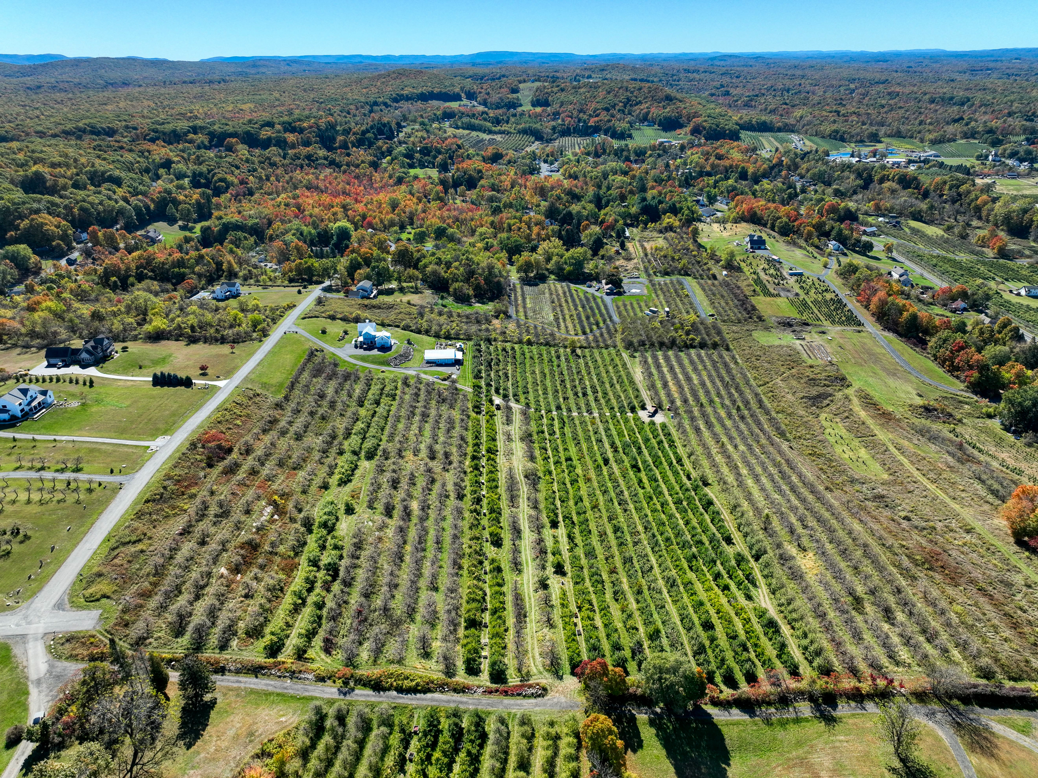  75 Palazzo Lane, Highland, NY 12528 - 物件實景