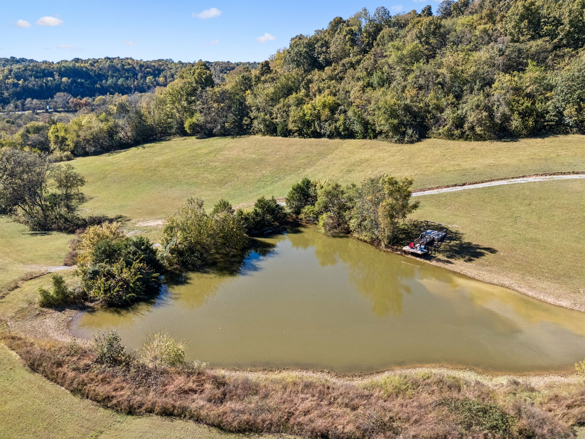  2846 Fuller Hollow Rd, Cornersville, TN, 37047 - 物件實景
