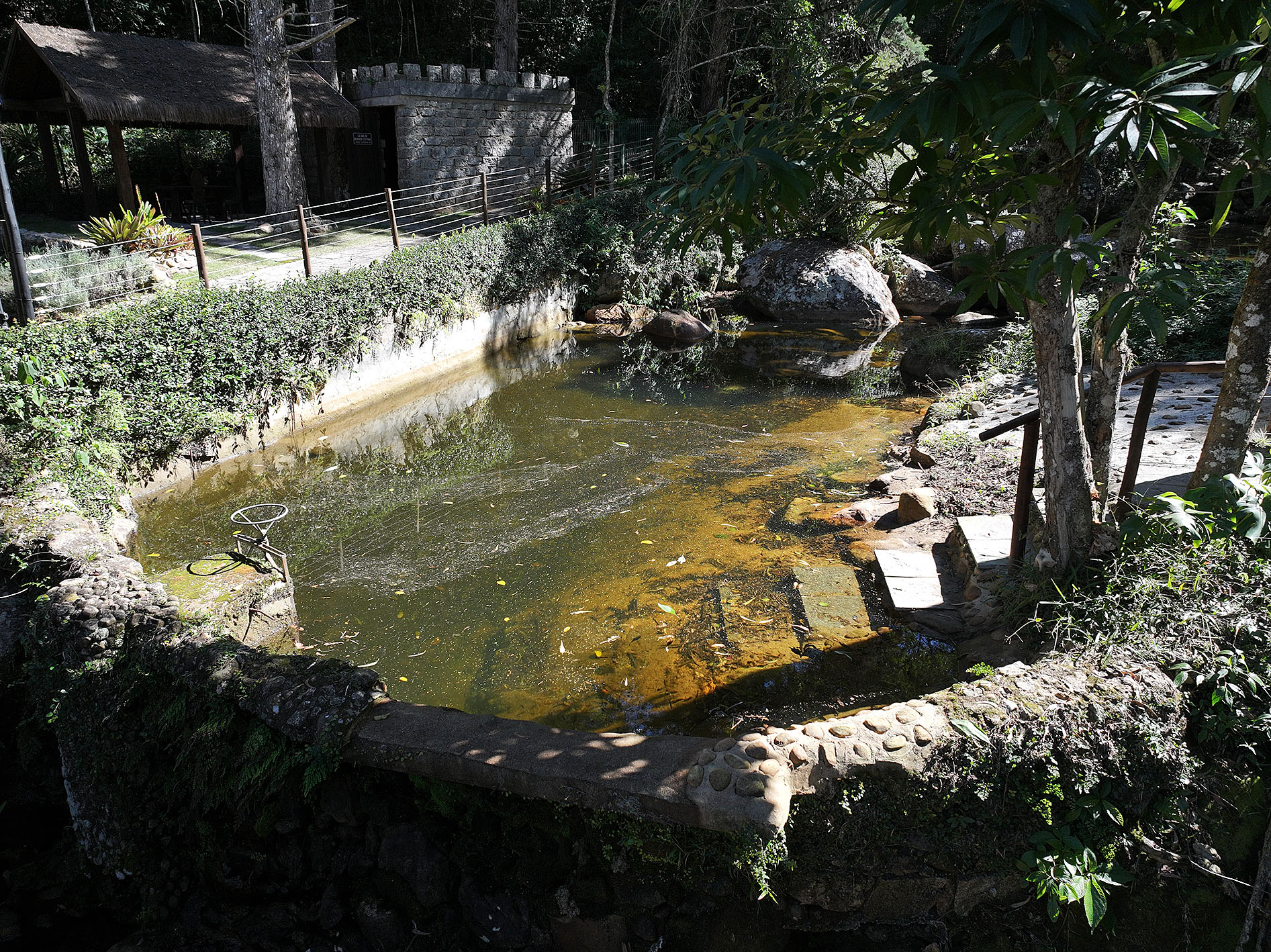  Estate surrounded by nature with private waterfall in Araras - 物件實景