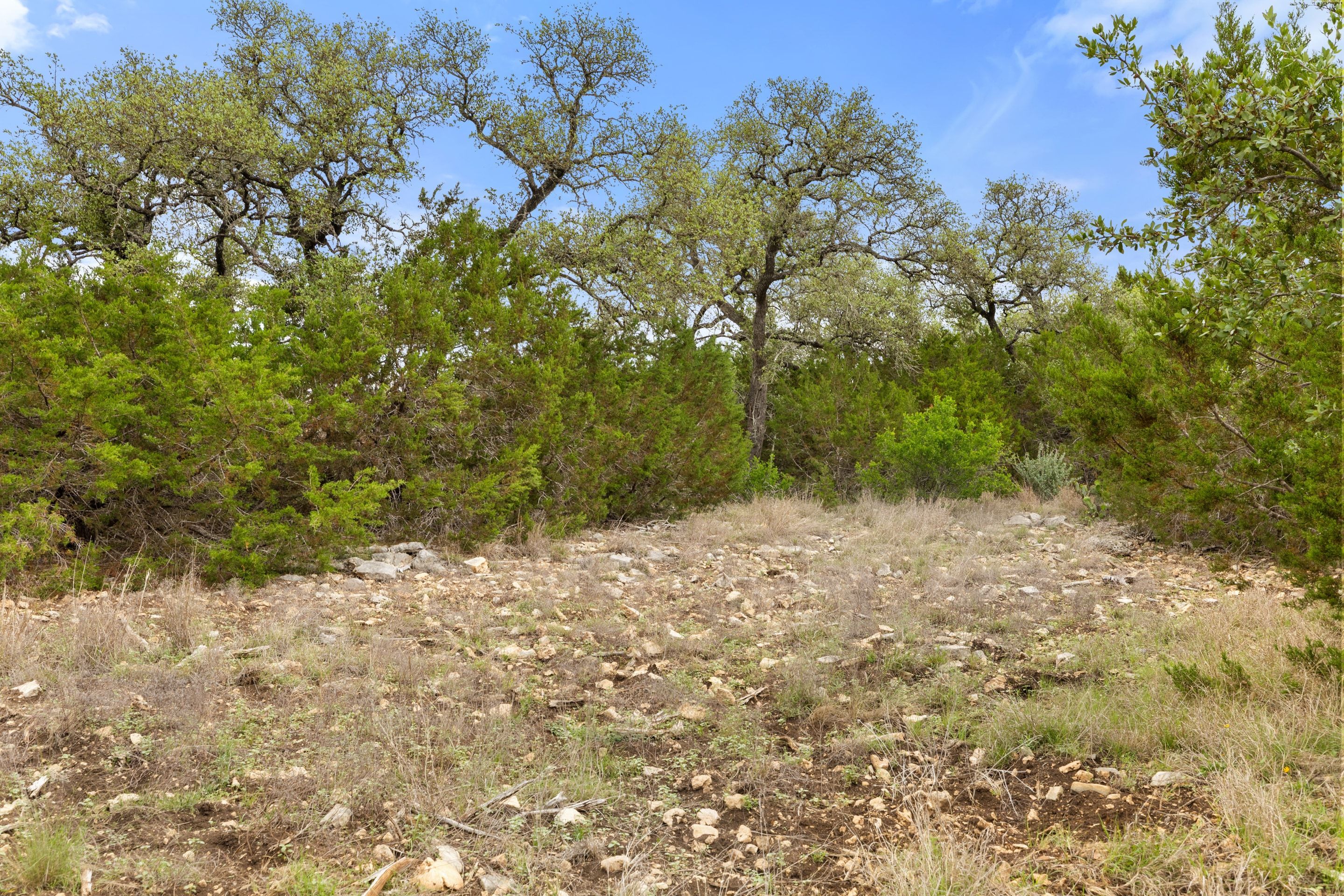  83 S Flat Rock Way - 5 Acre Lot in Gated Legacy Hills - 物件實景