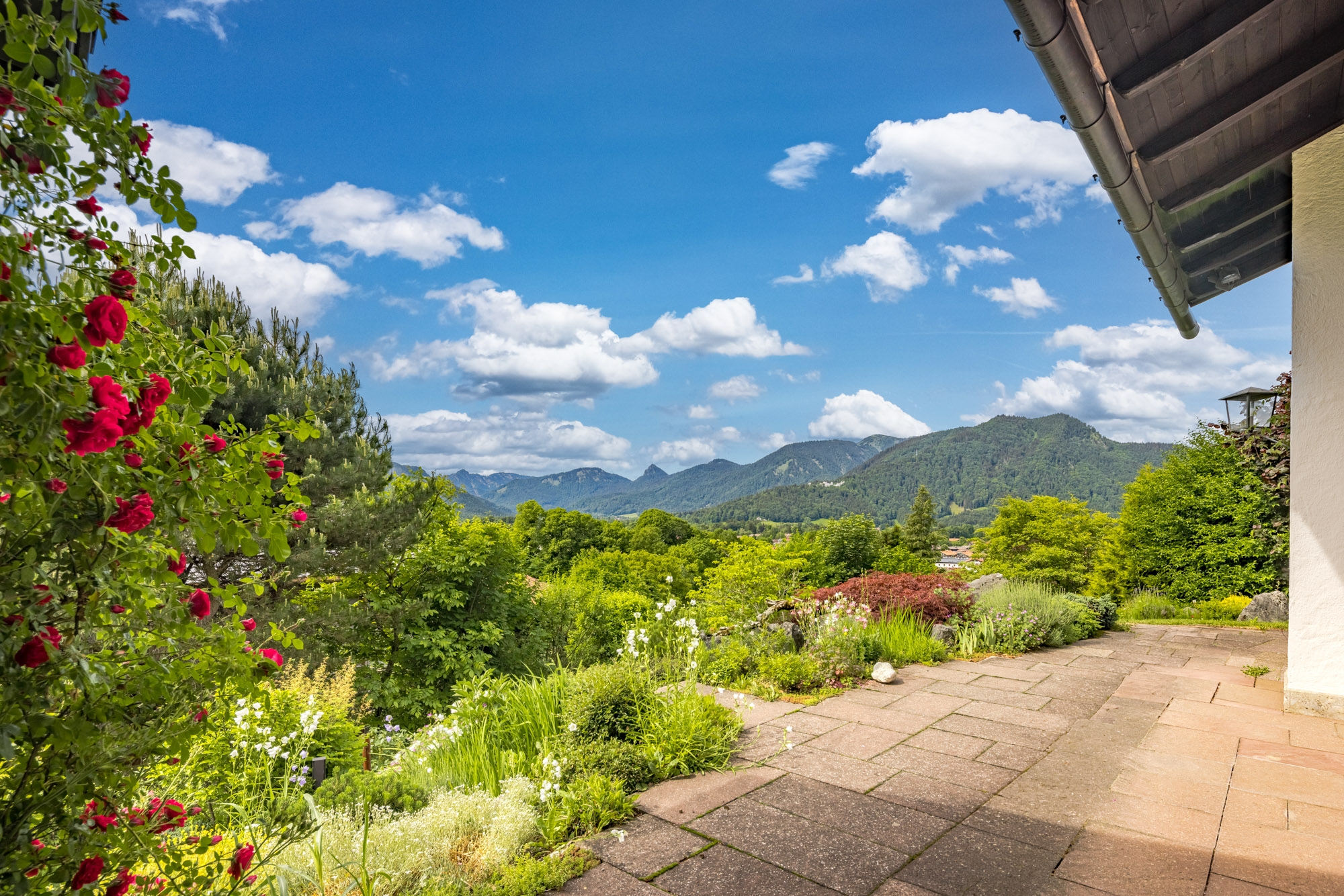  Alpine Living - Front Row to the Mountains - 物件實景