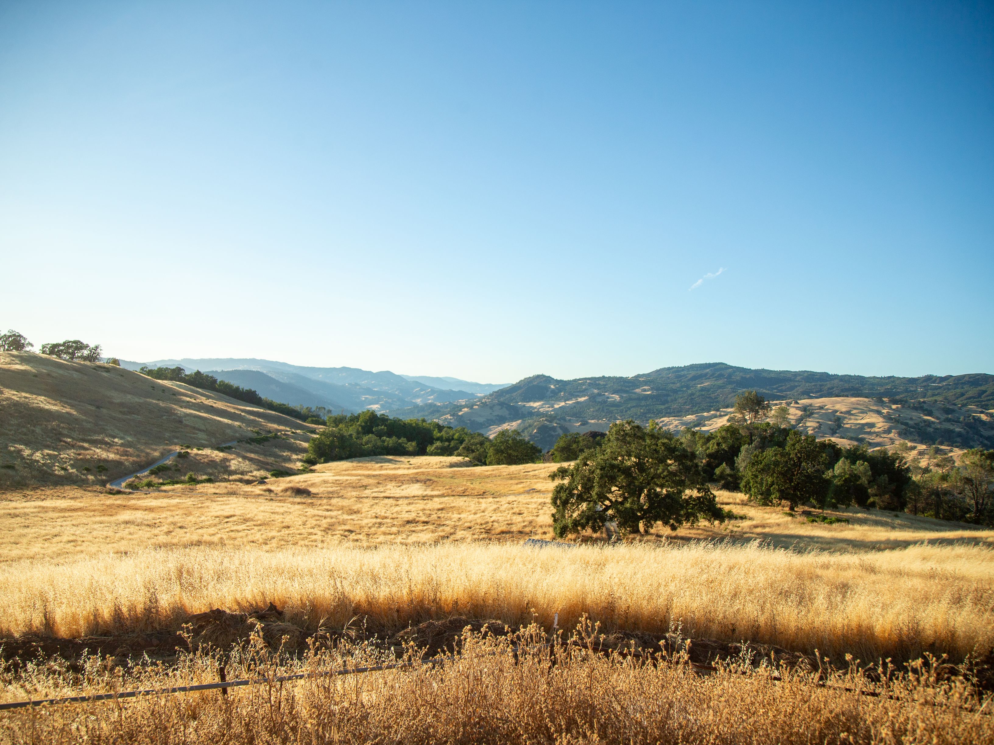  Very Rare Opportunity Alexander Valley Ranch - 物件實景