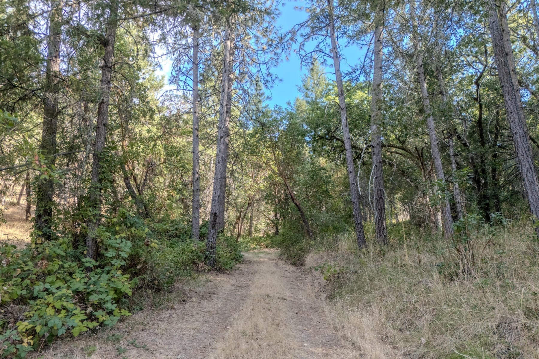  3583 S Stage Road #Lot 10 Medford, OR 97501 - 物件實景