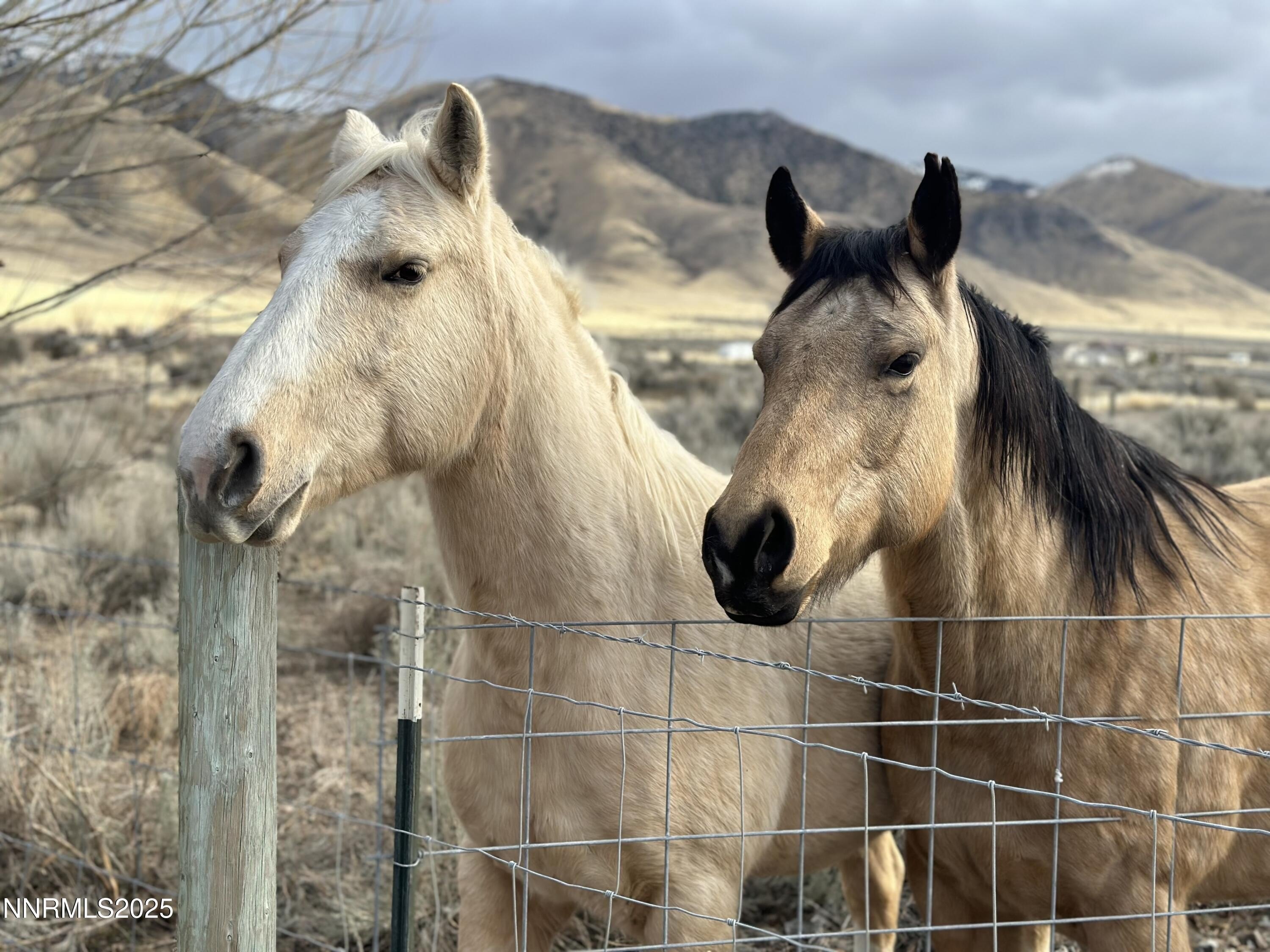 Winnemucca, Nevada, 89445, United States, 4 Bedrooms Bedrooms, ,2 BathroomsBathrooms,Residential,For Sale,1982205