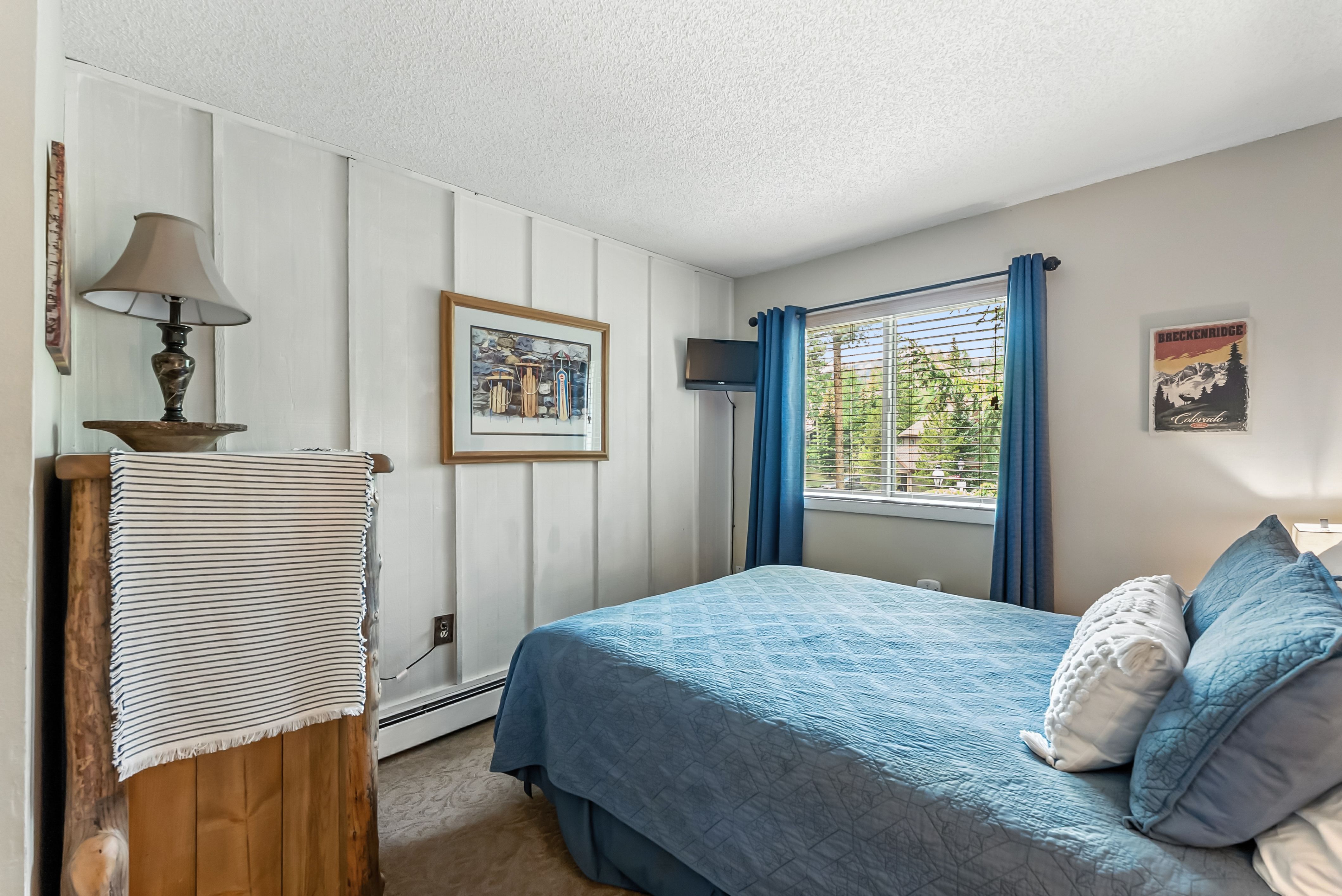  550 S French Street,Breckenridge, CO, 80424 - 物件實景